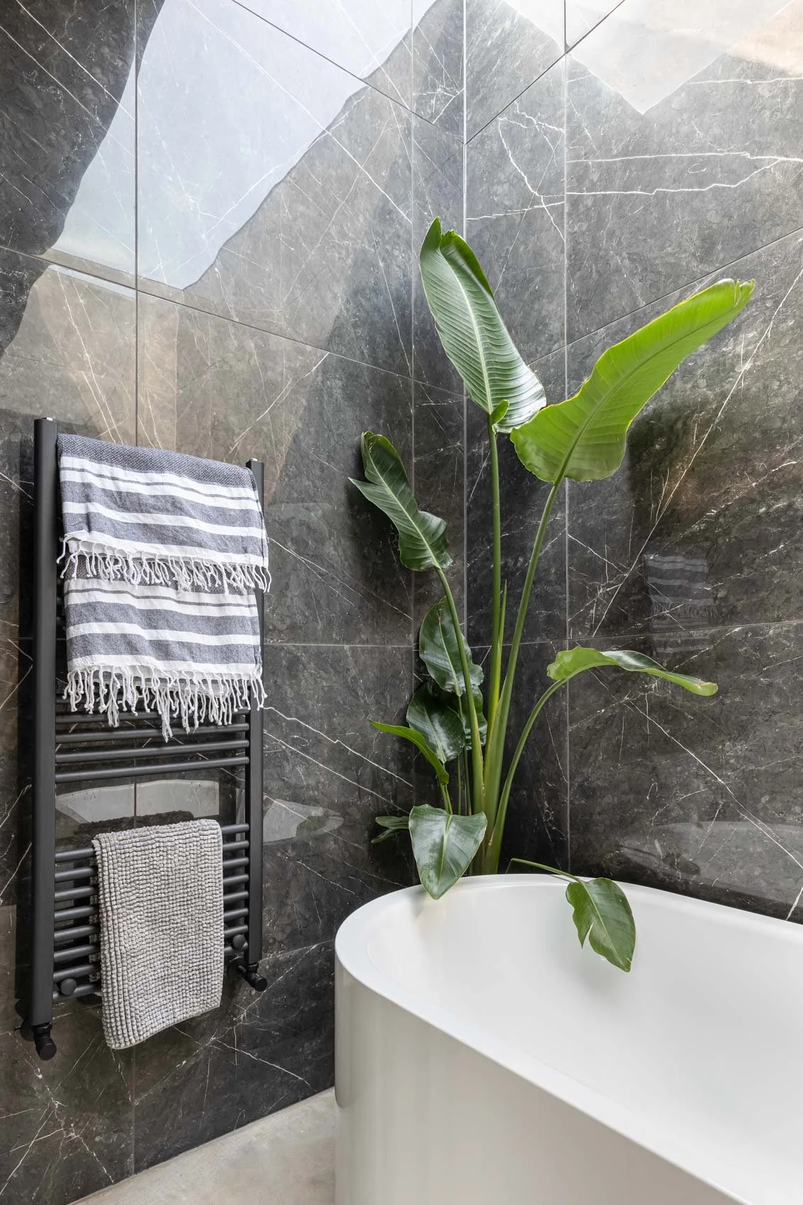 A modern bathroom with dark marble walls, a white bathtub, a large green leafy plant next to the tub, and a black radiator with two towels hanging on it.
