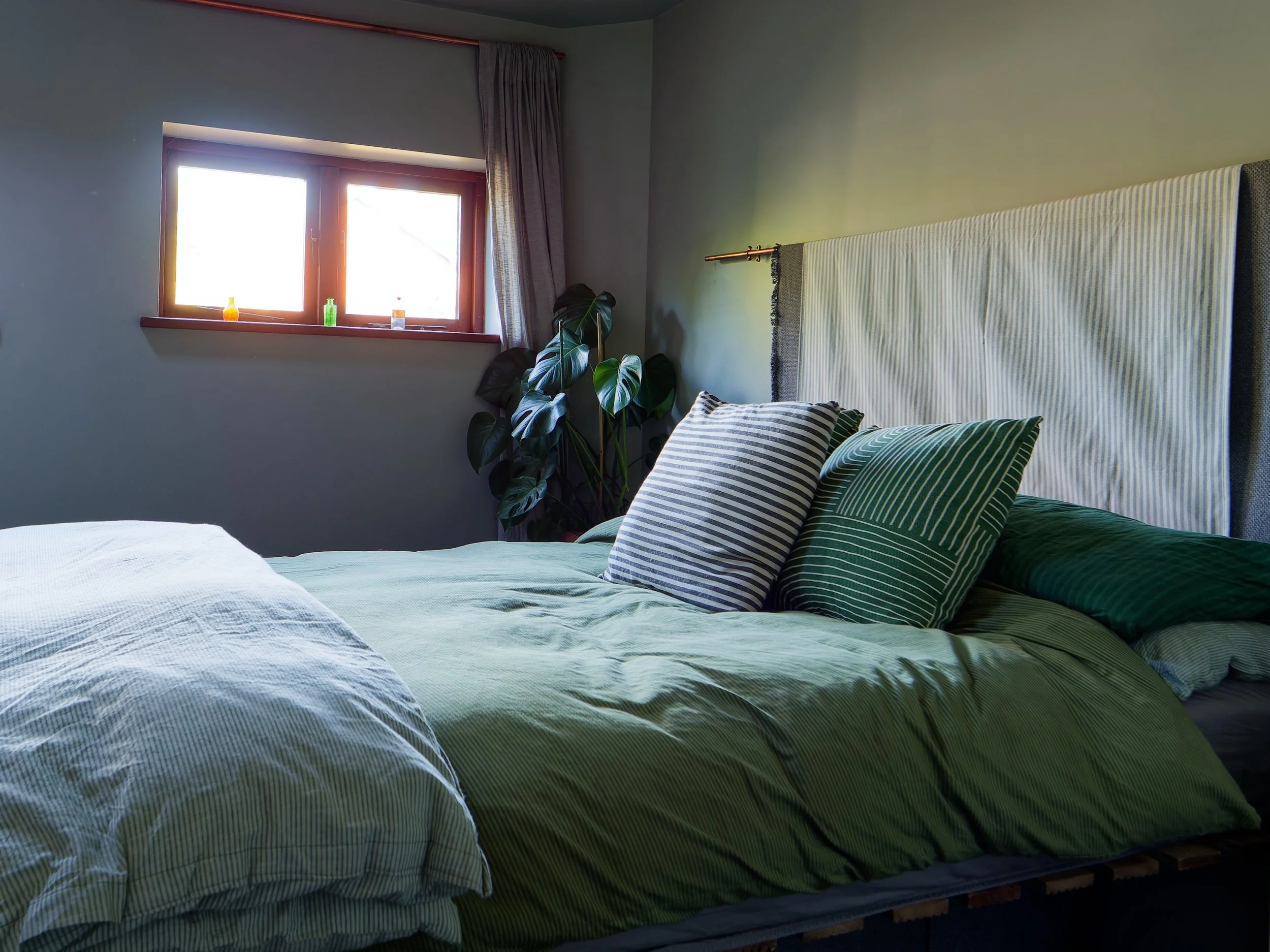 A cozy bedroom with a bed that has a green striped bedspread and matching pillows. There is a window with a curtain to the left, and a potted plant with large green leaves near the window. The headboard is covered with a light-colored fabric, and thr