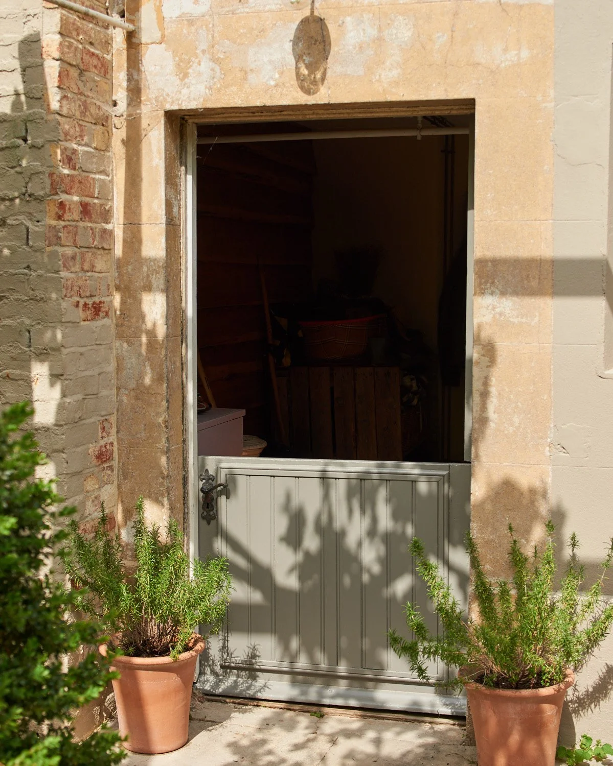 An old door with a metal handle leading into a garage or storage space, with two potted plants of rosemary on either side outside in terracotta pots.