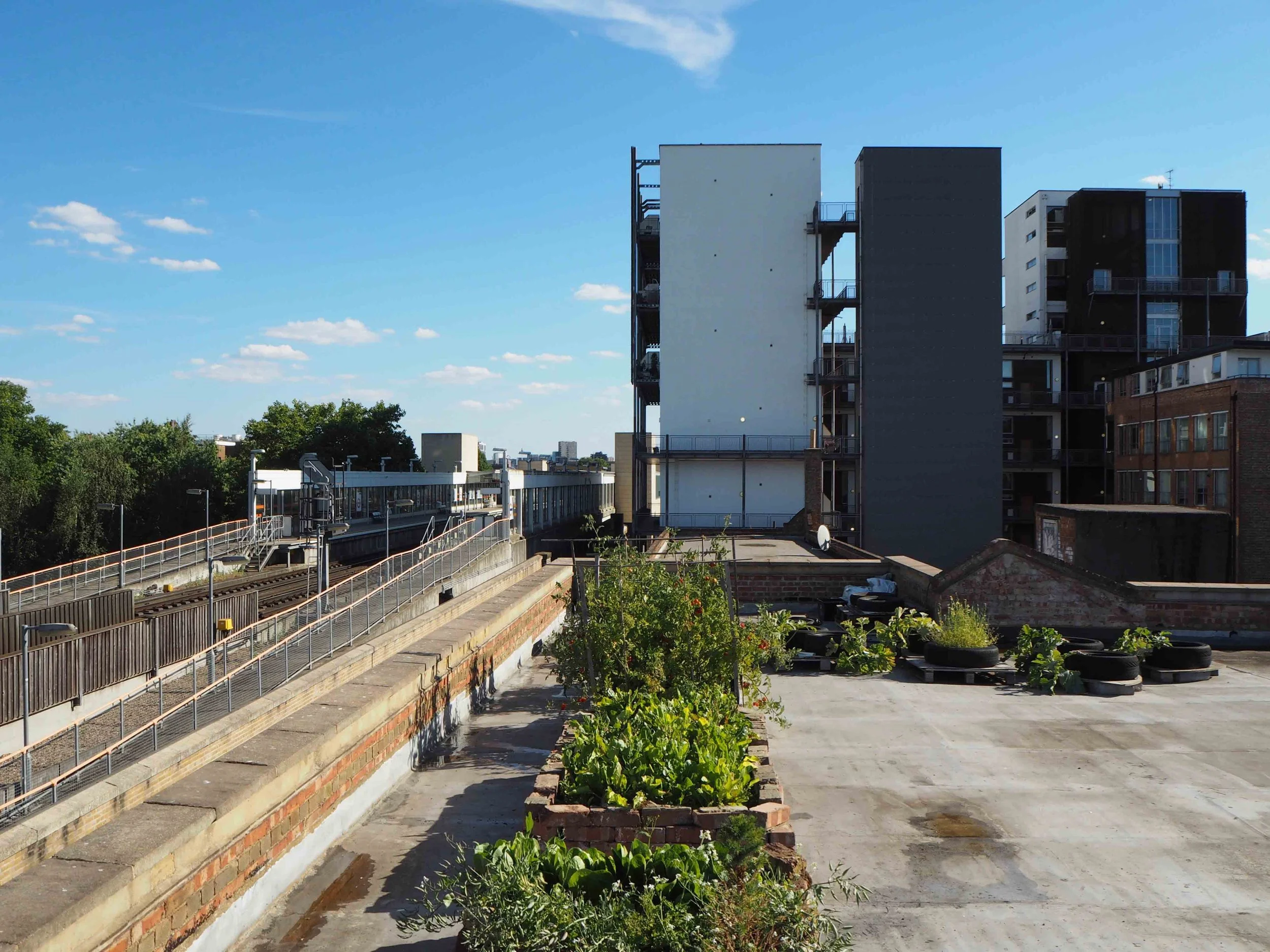 View of city rooftops with a garden and an elevated train track on a sunny day.