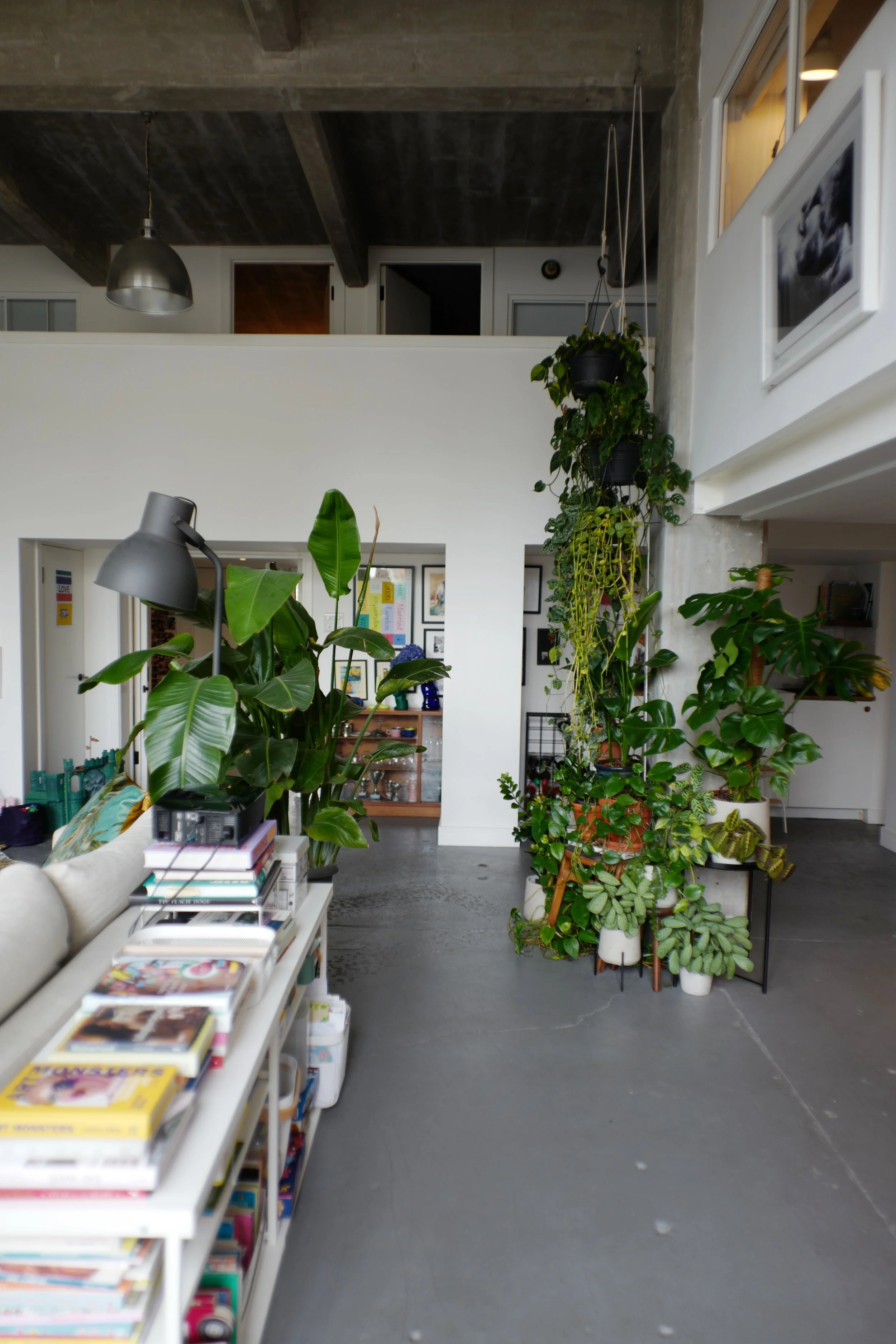 Indoor living space with various green houseplants, a white sofa, and a coffee table full of magazines. The room has a high ceiling with exposed concrete beams and a polished concrete floor. There is natural light coming from the right side.