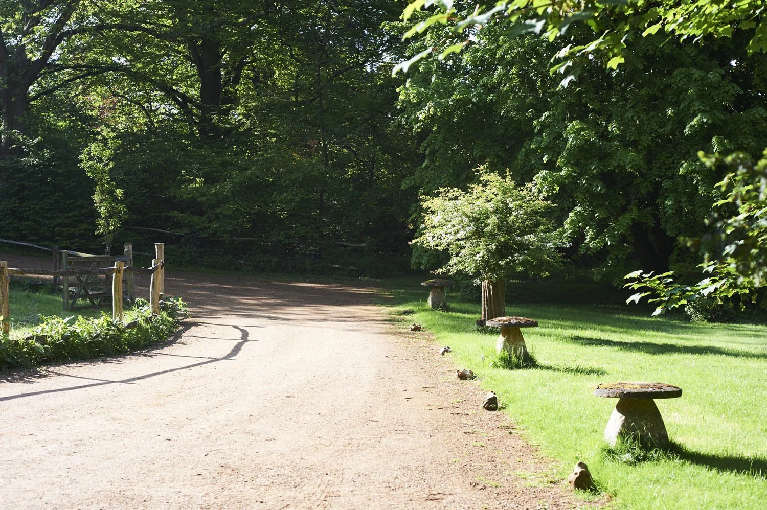 A peaceful park pathway lined with wooden benches and lush green trees, with sunlight filtering through the leaves.