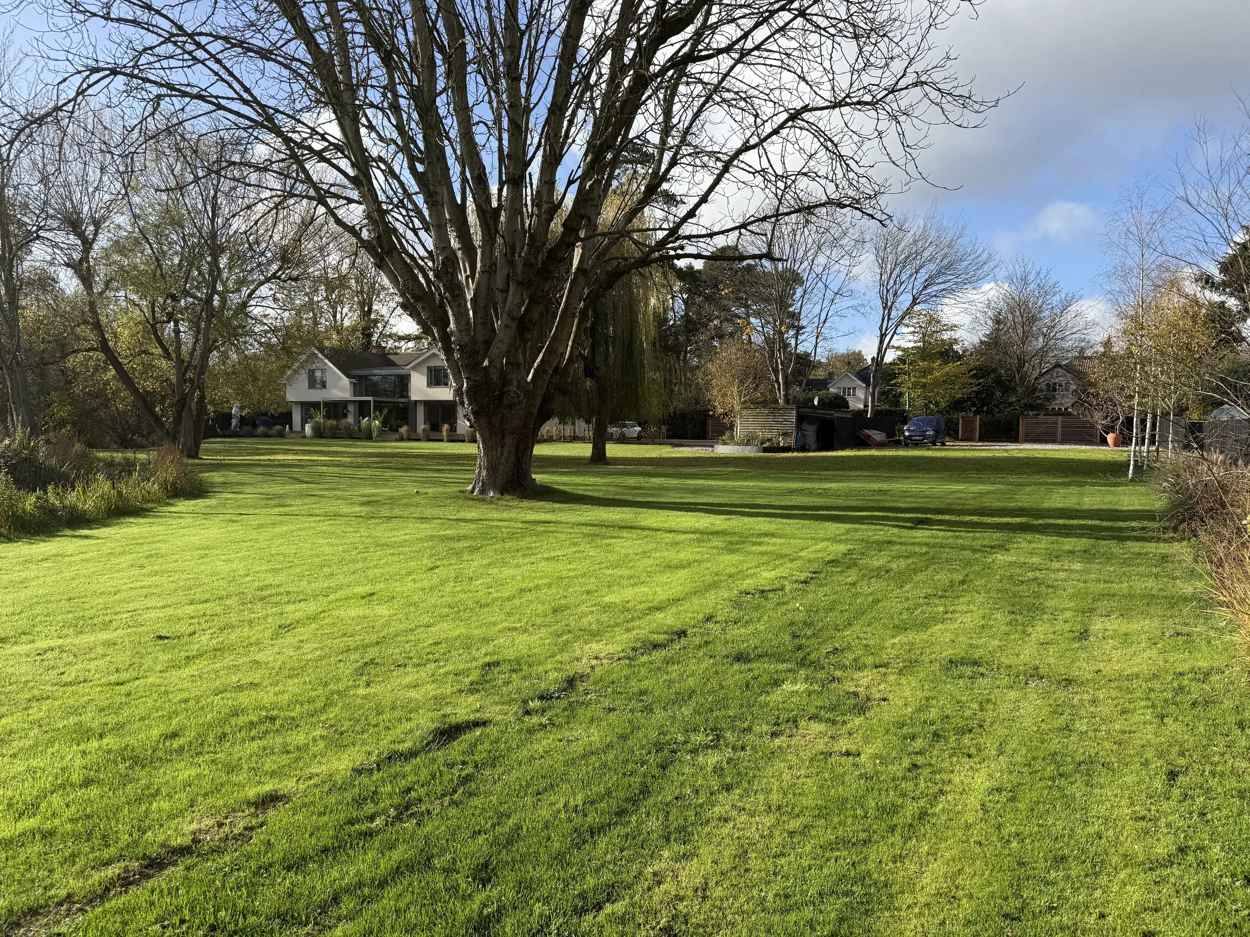 A large backyard with a well-maintained green lawn, a big tree in the center, and a white house in the background. Several other trees of varying sizes are also visible along the edges of the yard. The sky is partly cloudy with patches of blue.