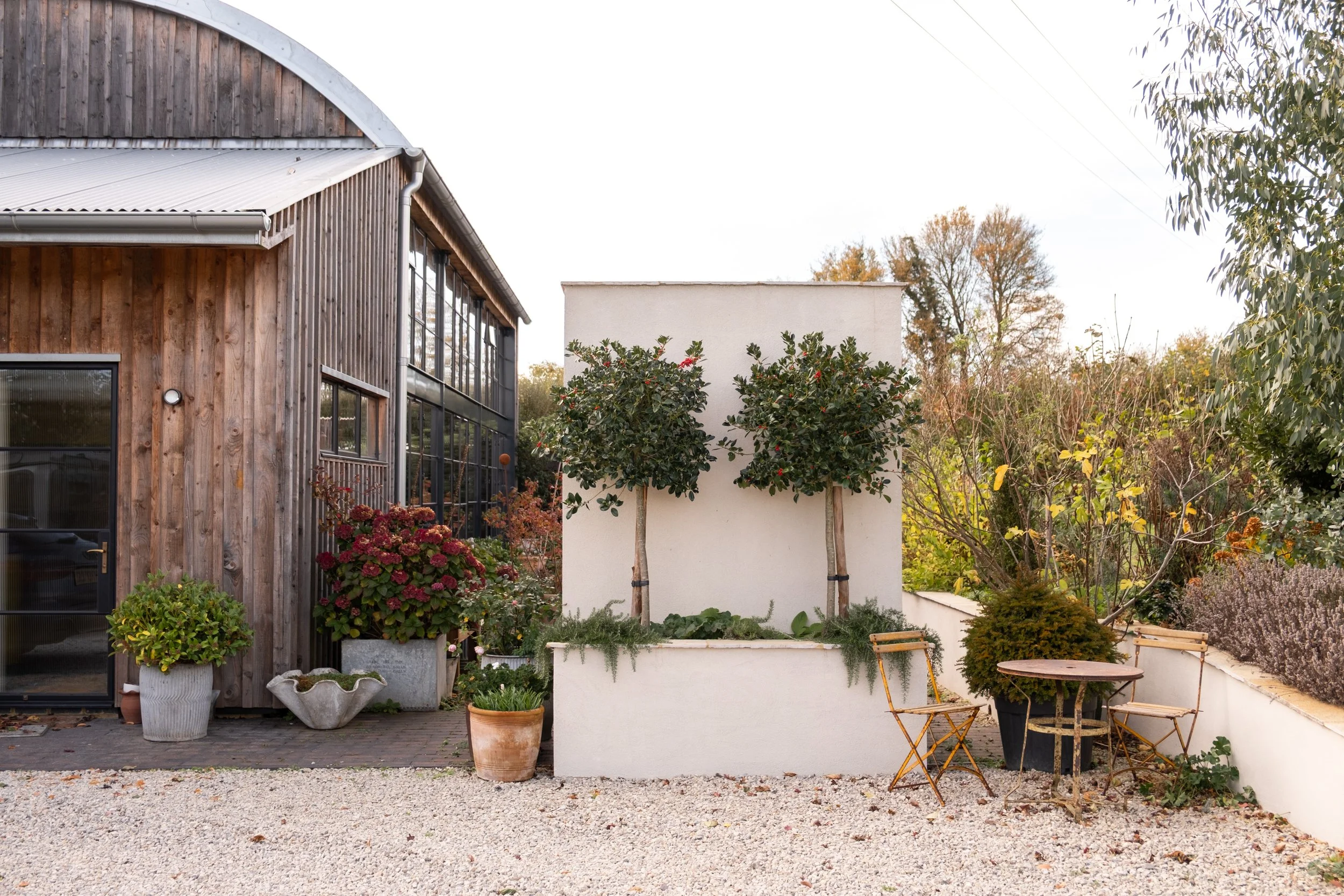 A small modern courtyard garden scene with potted plants, a white wall, and trees in the background, featuring a wooden and glass building on the left.