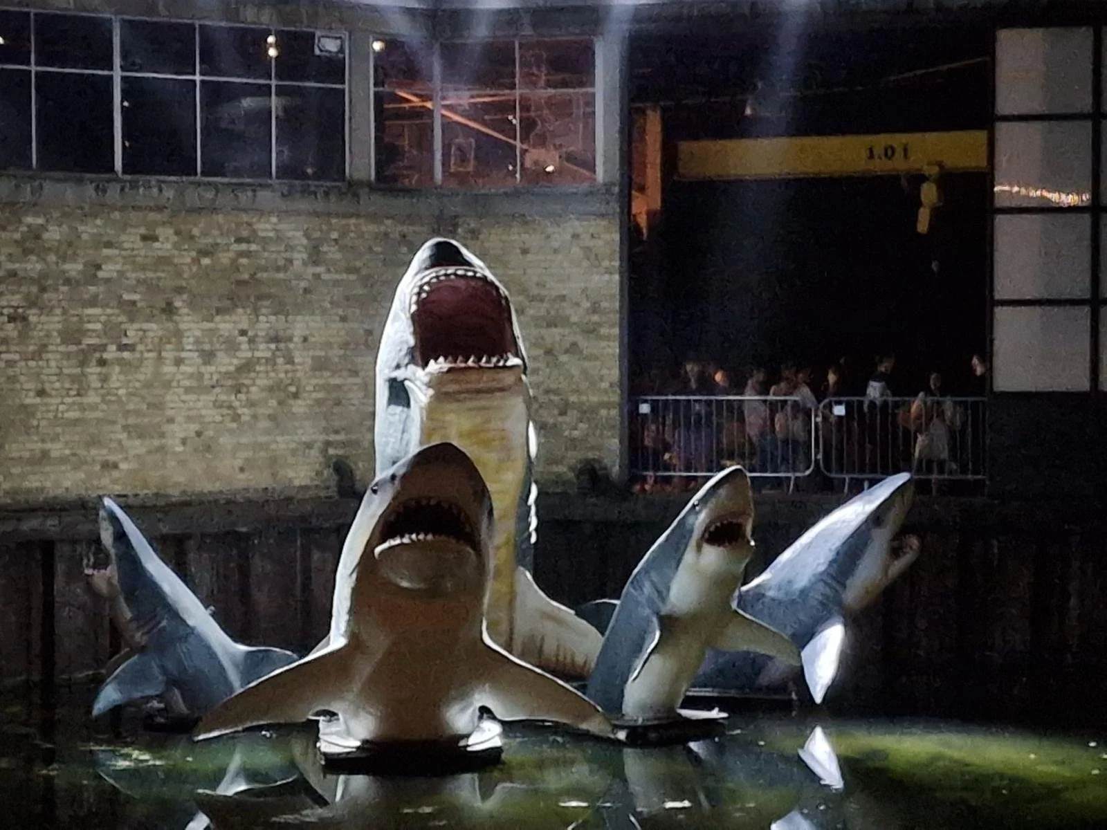 Large sharks with open mouths and sharp teeth, displayed as sculptures in a pool of water at night, with a brick wall and a group of people in the background.