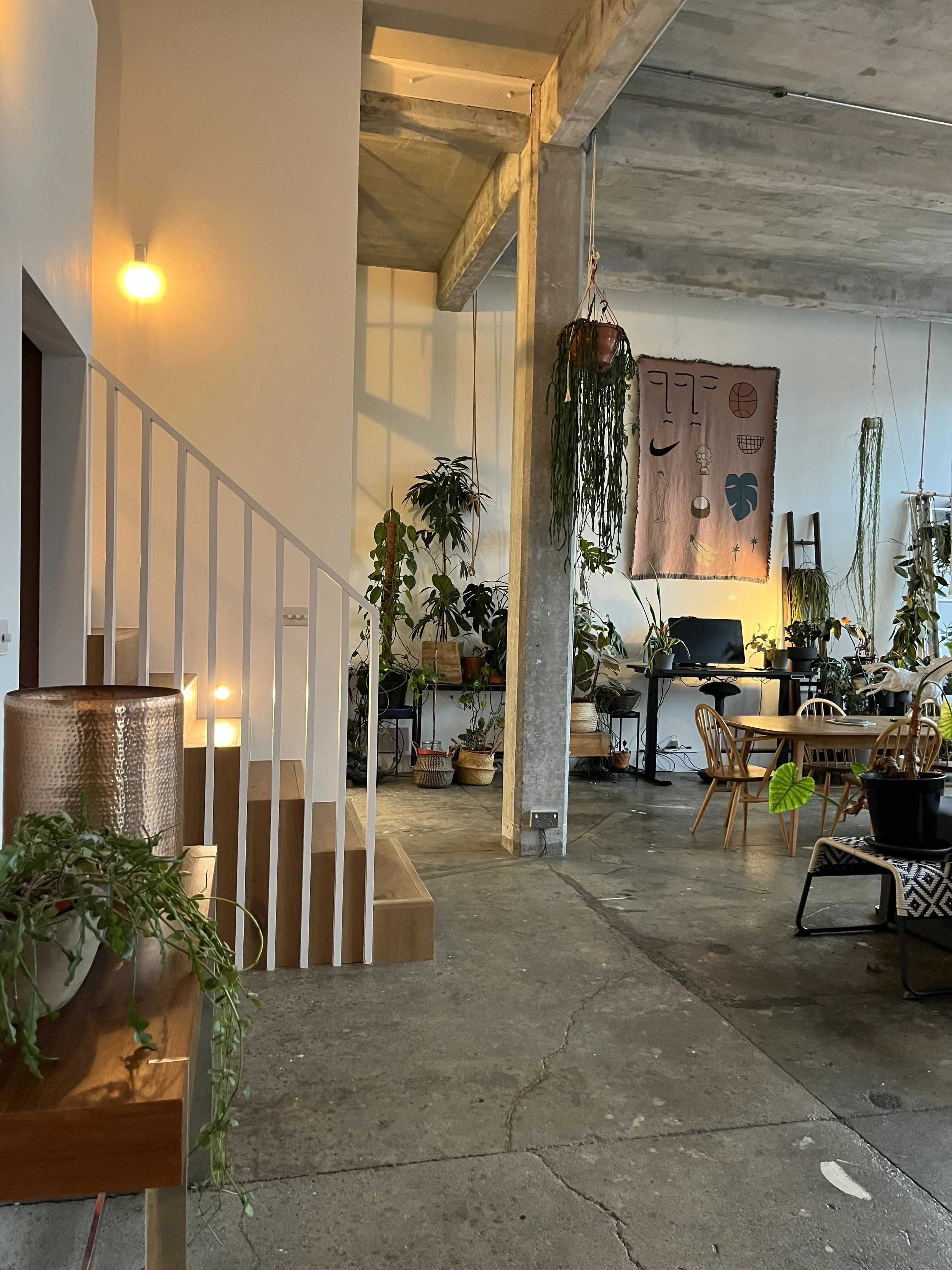 Interior of a modern living space with exposed concrete floors and ceiling, decorated with hanging plants, artwork, and a mix of wooden and black furniture.