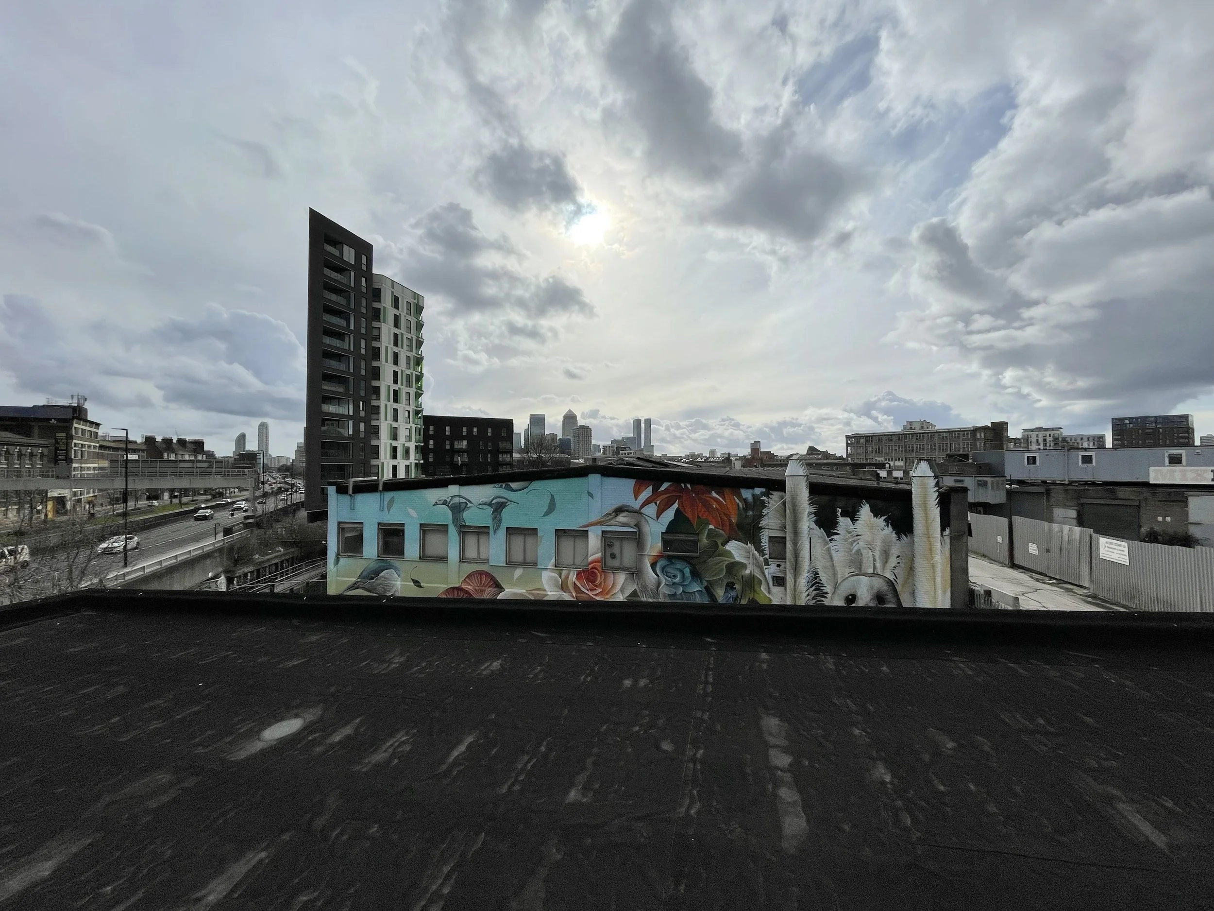 Cityscape with modern buildings and cloudy sky, graffiti art on building wall, and a highway with cars in foreground.