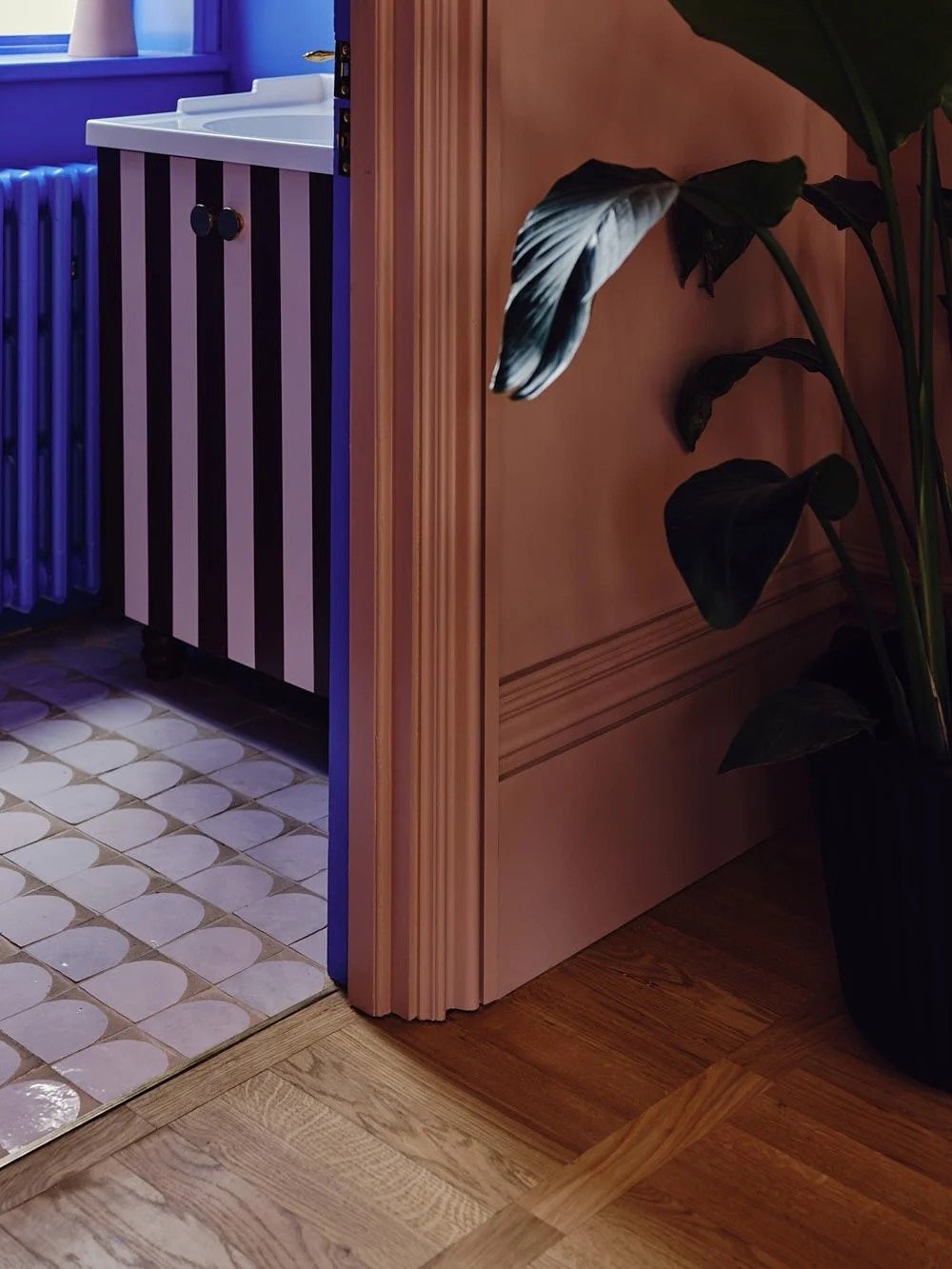 Part of a room showing a wooden sliding door, a potted plant with large dark leaves, a section of hardwood floor, and a tiled area with a striped cabinet next to a blue radiator.