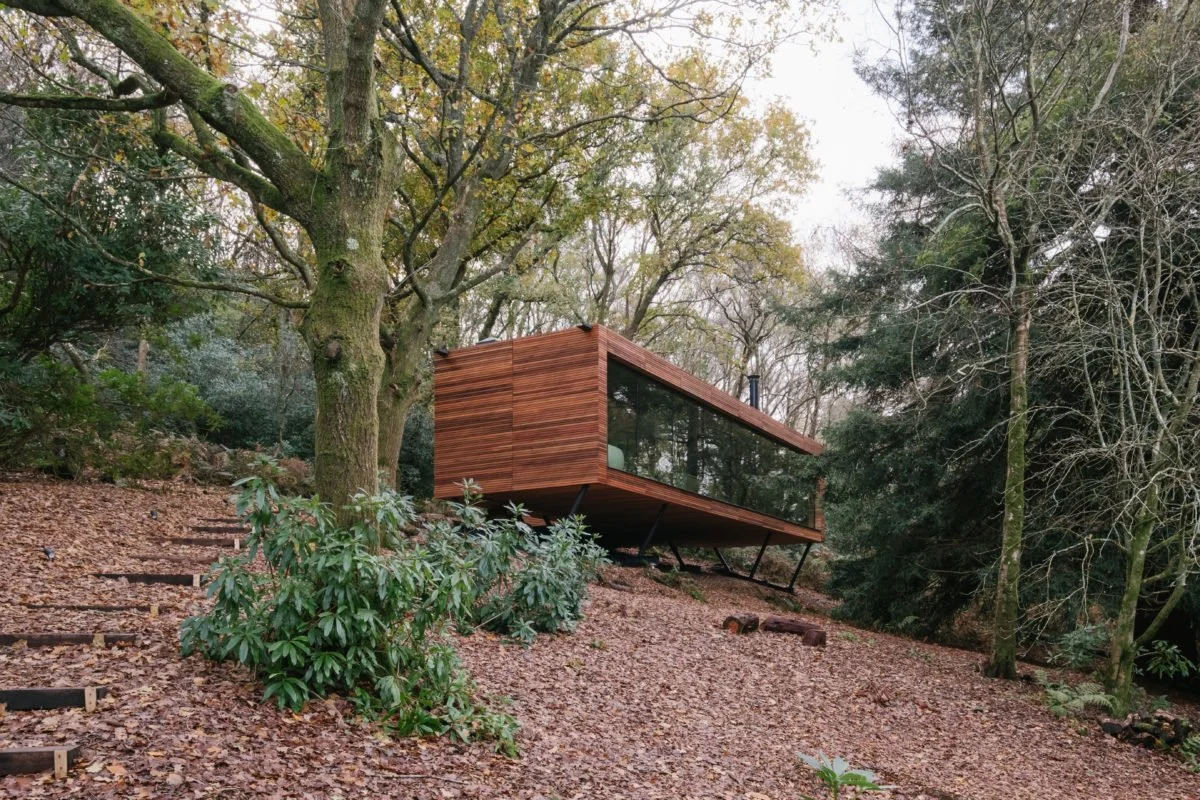 Modern wooden house elevated on stilts in a forested area with trees and fallen leaves.