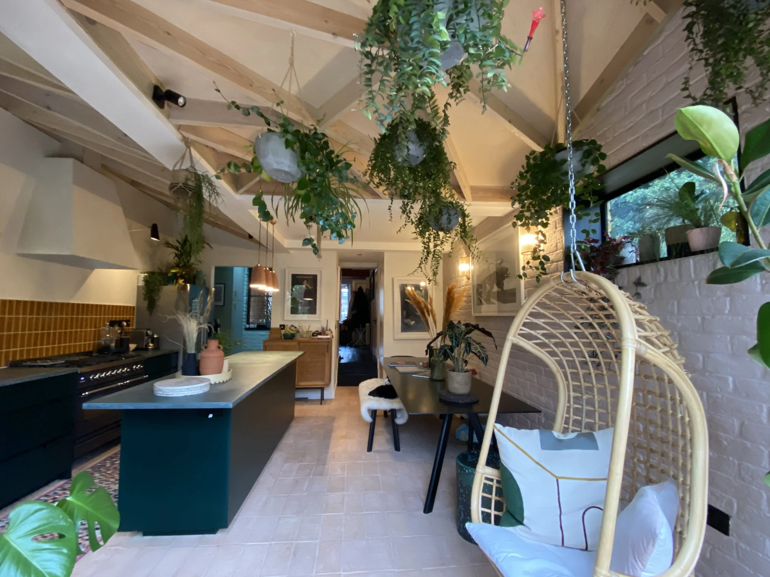 A cozy, modern kitchen and dining area decorated with hanging and potted plants, featuring a hanging rattan chair and a black dining table with a plant centerpiece, illuminated by ambient lighting and natural light from a window.