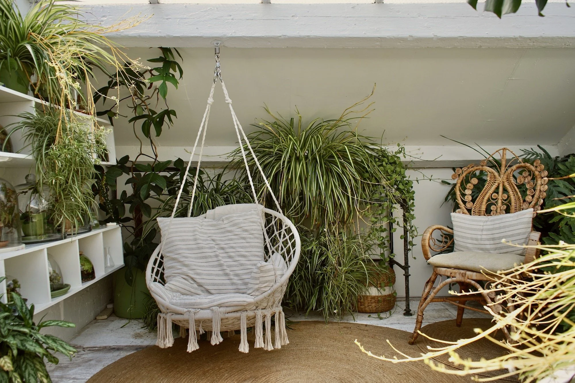 Indoor porch corner with hanging chair and wicker chair surrounded by lush green houseplants and a brown circular rug on wooden floor.