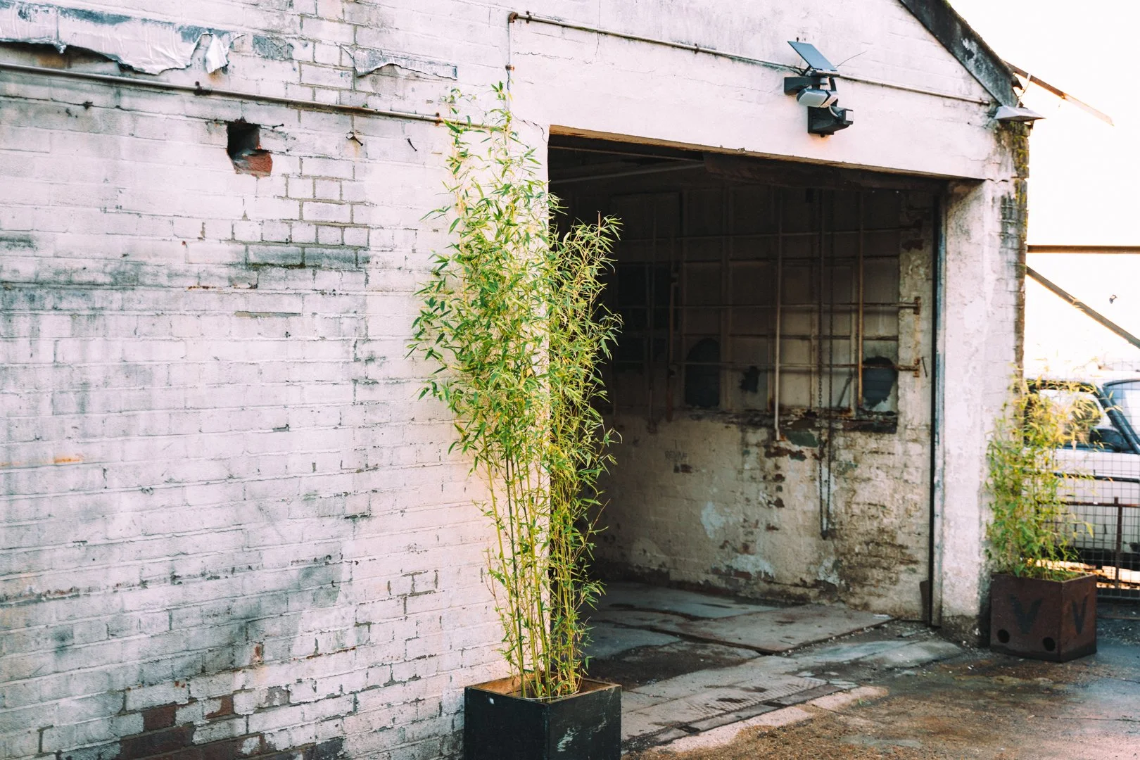 LL00008.jpg