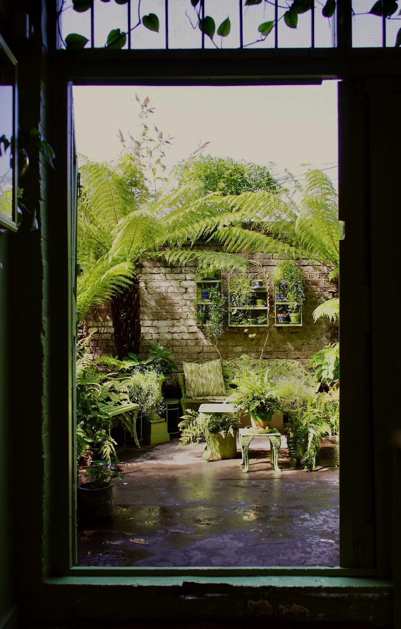 View of a lush outdoor patio with green ferns, potted plants, and vintage furniture seen through a window with a metal grid and leafy vines.