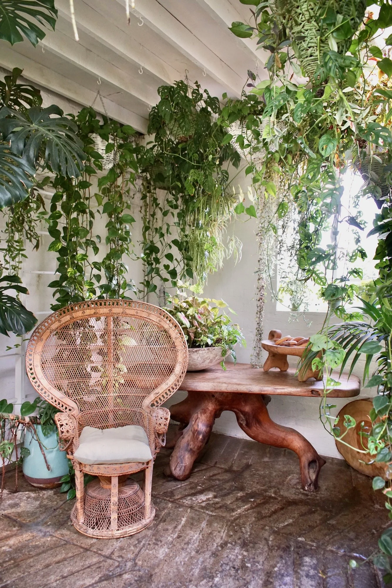 Indoor space with lush green hanging plants and a wooden table. A wicker chair with a cushion is in the foreground. A ceramic pot with plants and a wooden tray with clay objects are on the table. Bright light streaming through the window illuminating