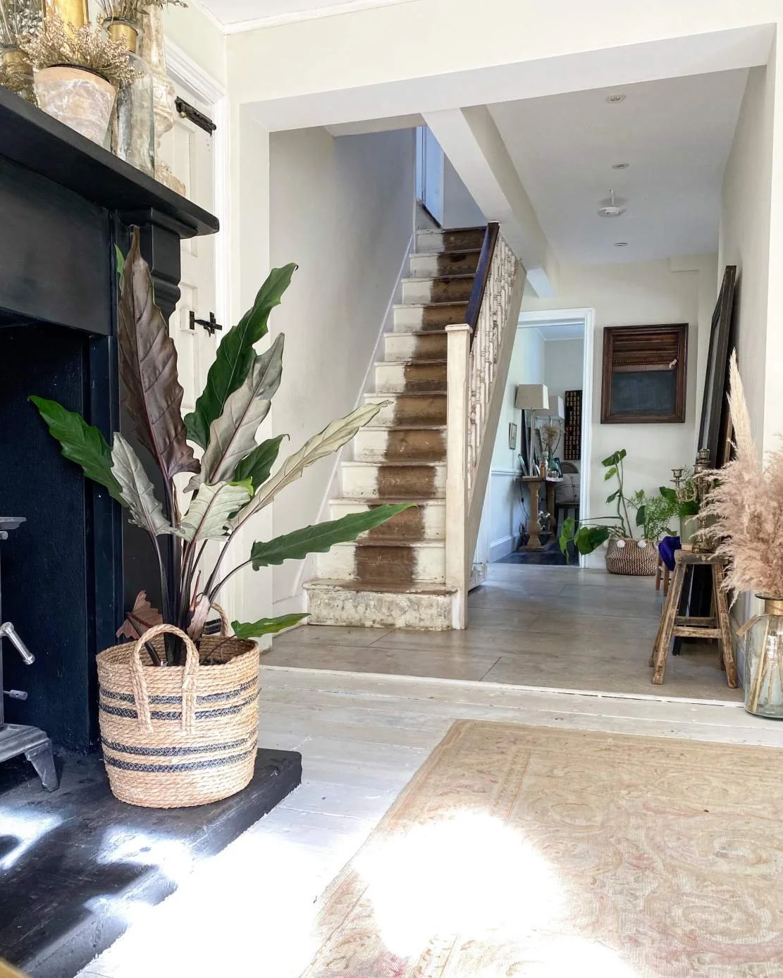 Interior view of a home foyer with a large potted plant on a black fireplace hearth, worn wooden staircase, and various decor including a basket, plants, and framed art.