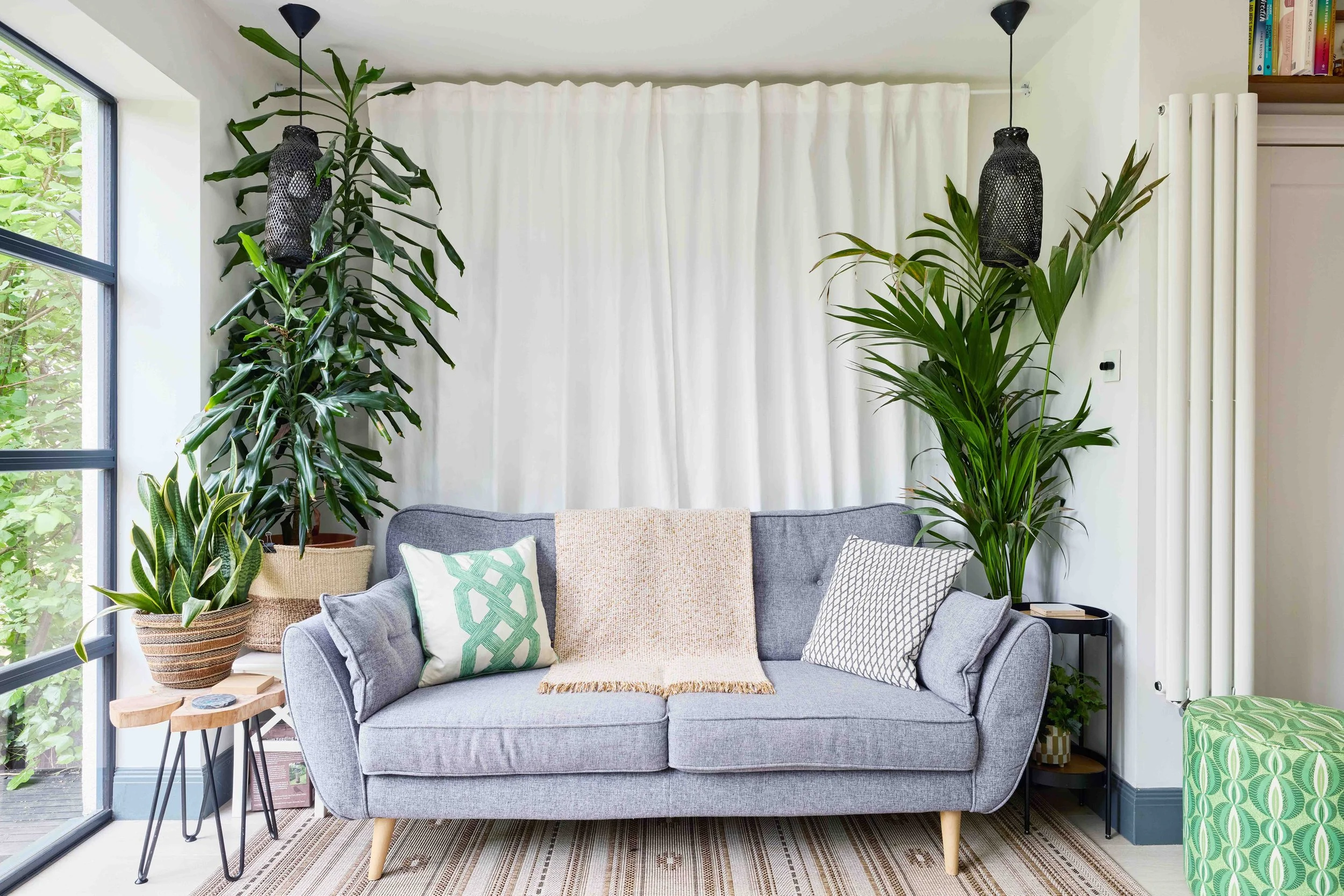 Living room with gray sofa, green and white decorative pillows, beige throw blanket, tall potted plants on either side of the sofa, side table with a plant and art piece, natural light coming through large window, white curtains, patterned rug, and p