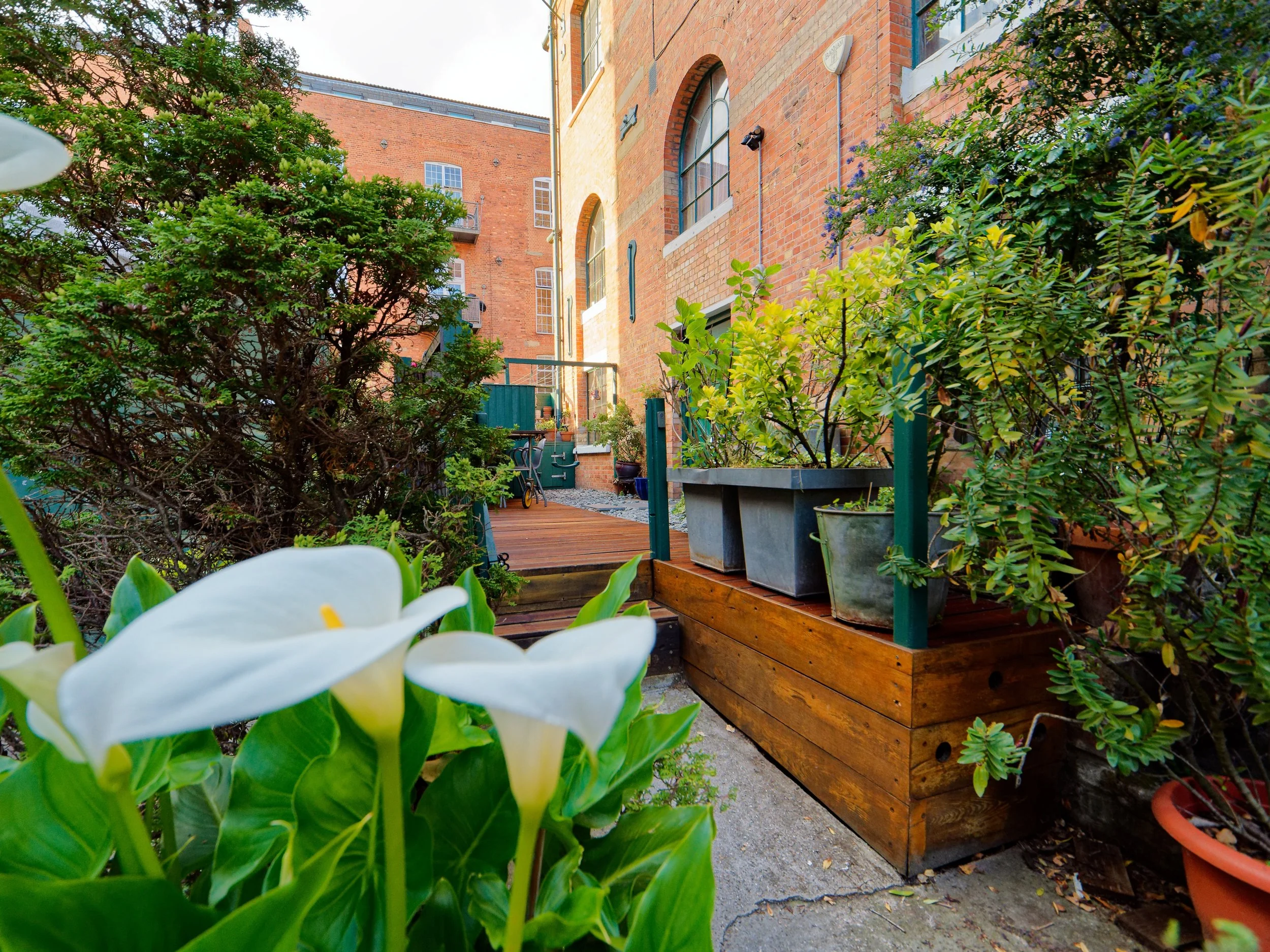 Urban backyard with plants in pots, a wooden deck, and a brick building in the background.