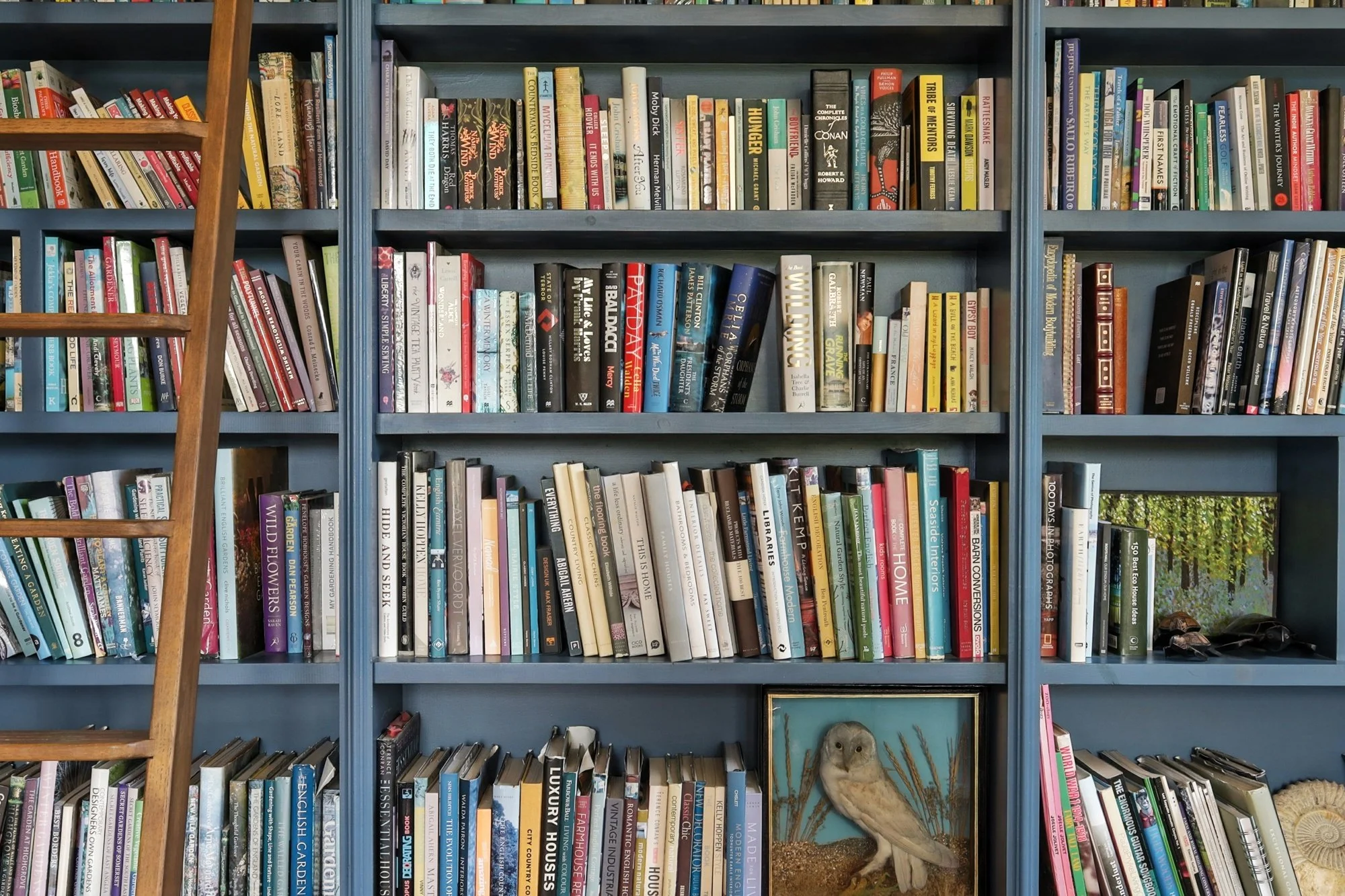 Blue bookshelf filled with various colored books and decorative items, including an owl sculpture, a framed picture, and a small globe, with a wooden ladder leaning against the shelves.