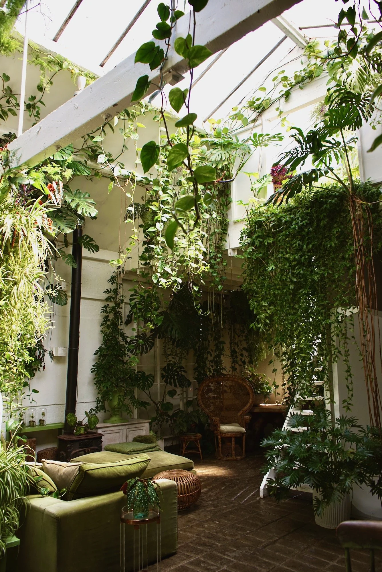 Indoor space filled with lush green hanging and potted plants, a green sofa with cushions, wicker furniture, and a cozy, plant-filled atmosphere.