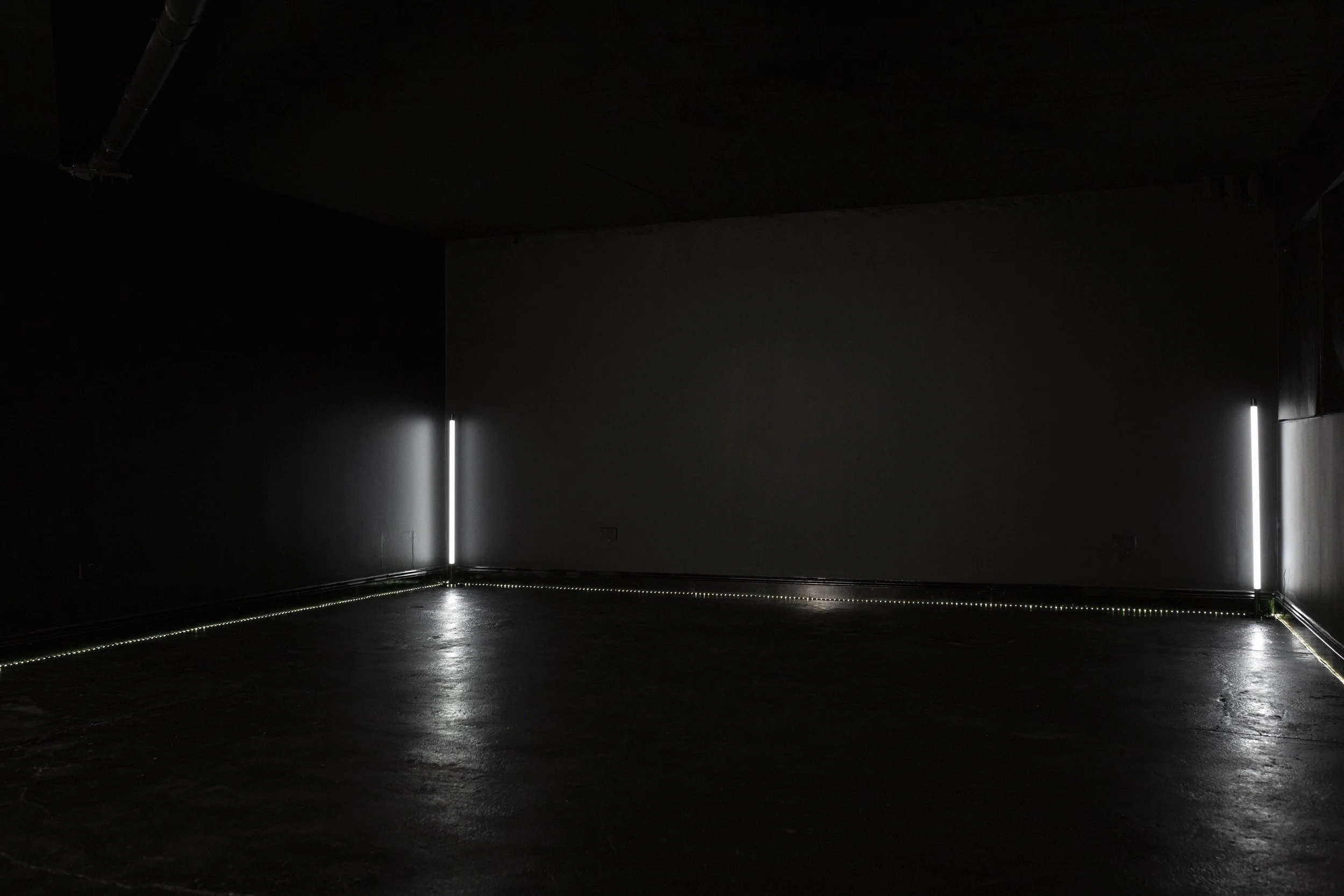 Dark room with vertical white light strips on the side walls, a dark reflective floor, and a dotted light strip along the base of the walls.
