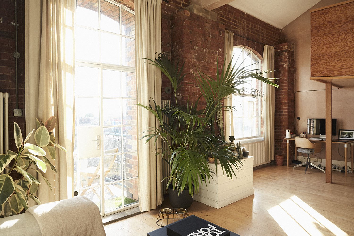 Sunlit modern living room with large windows, beige curtains, a big green potted plant, a small desk with computer, and warm wooden accents.