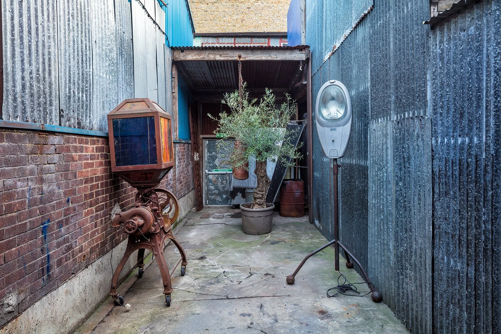 An alleyway with brick and metal walls, a potted olive tree, a vintage UV disinfection lamp, a film light with tripod, and a shed in the background.