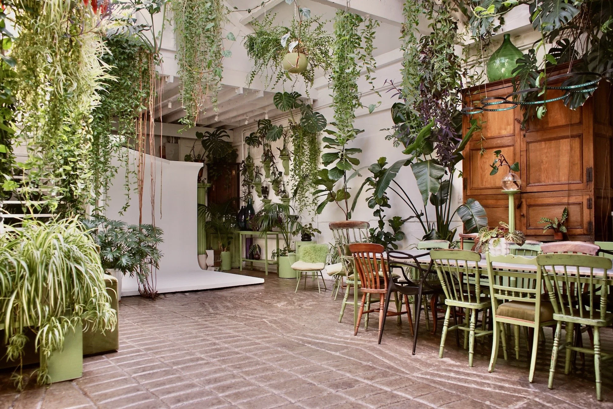 Indoor space decorated with green plants and hanging greenery, with a white backdrop for photography, a variety of chairs around a long table, and wooden furniture against white walls.