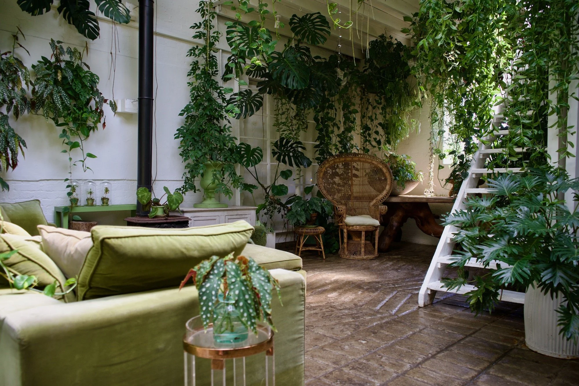 A cozy indoor space decorated with abundant green plants, including begonias, monstera, and other foliage, with fairy lights hanging from above. There is a green sofa with beige pillows, a small copper table with a potted plant, a rattan chair, and r