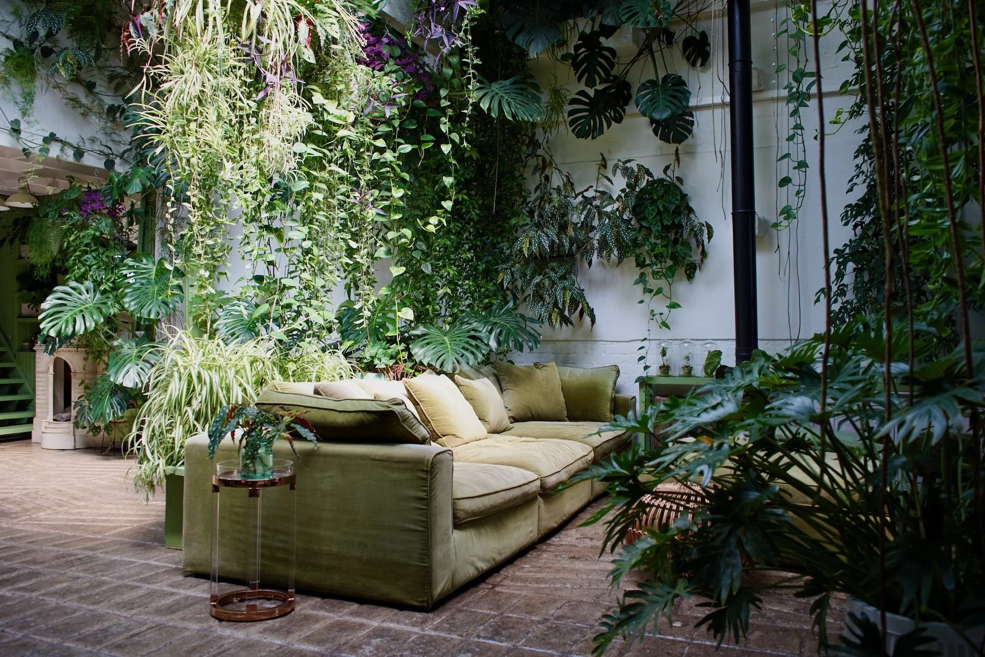 Indoor lounge area with a green sofa surrounded by lush tropical plants and hanging greenery.