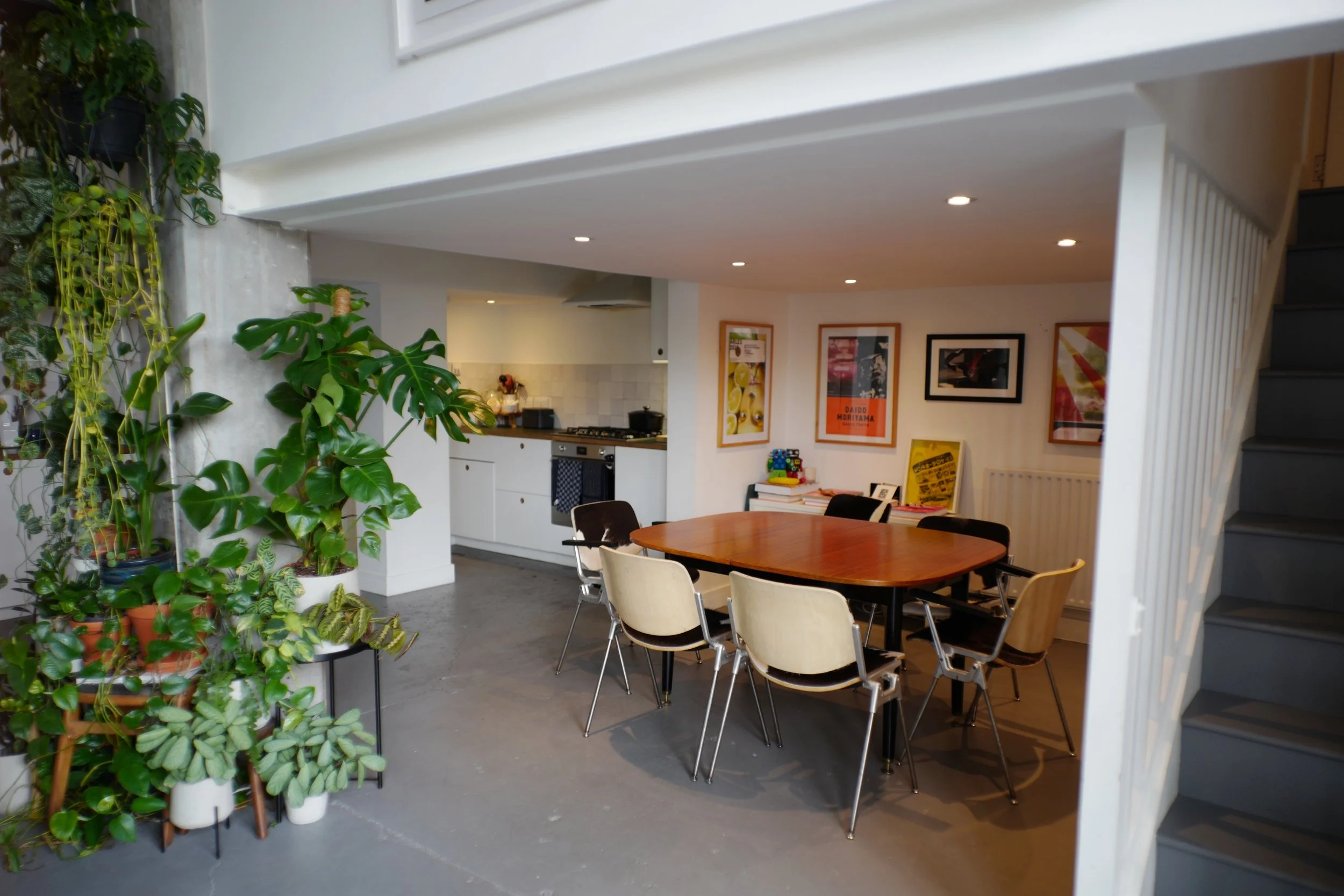A modern dining area with a wooden table surrounded by six mixed vintage and modern chairs. To the left, a large indoor plant with green leaves. In the background, a white kitchen with a stove and some countertops. The wall on the right features fram