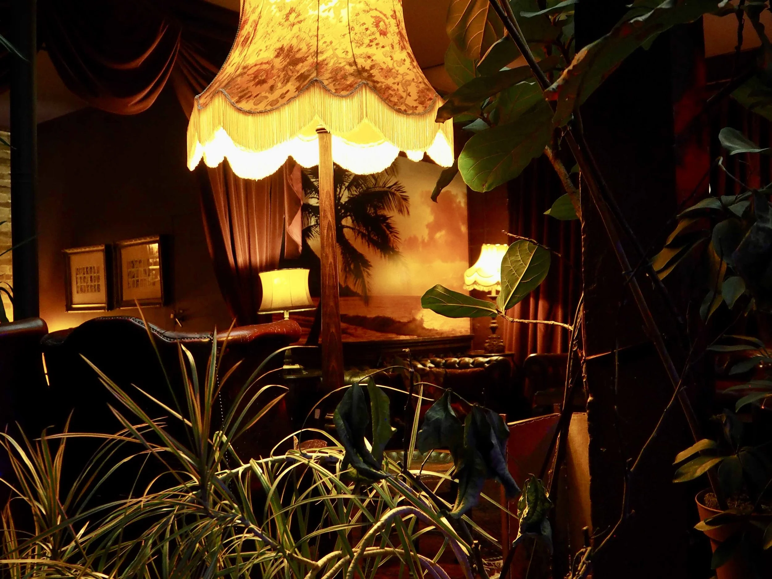 A cozy, dimly lit room with multiple table lamps and a large painting of palm trees and sunset in the background, surrounded by indoor plants.