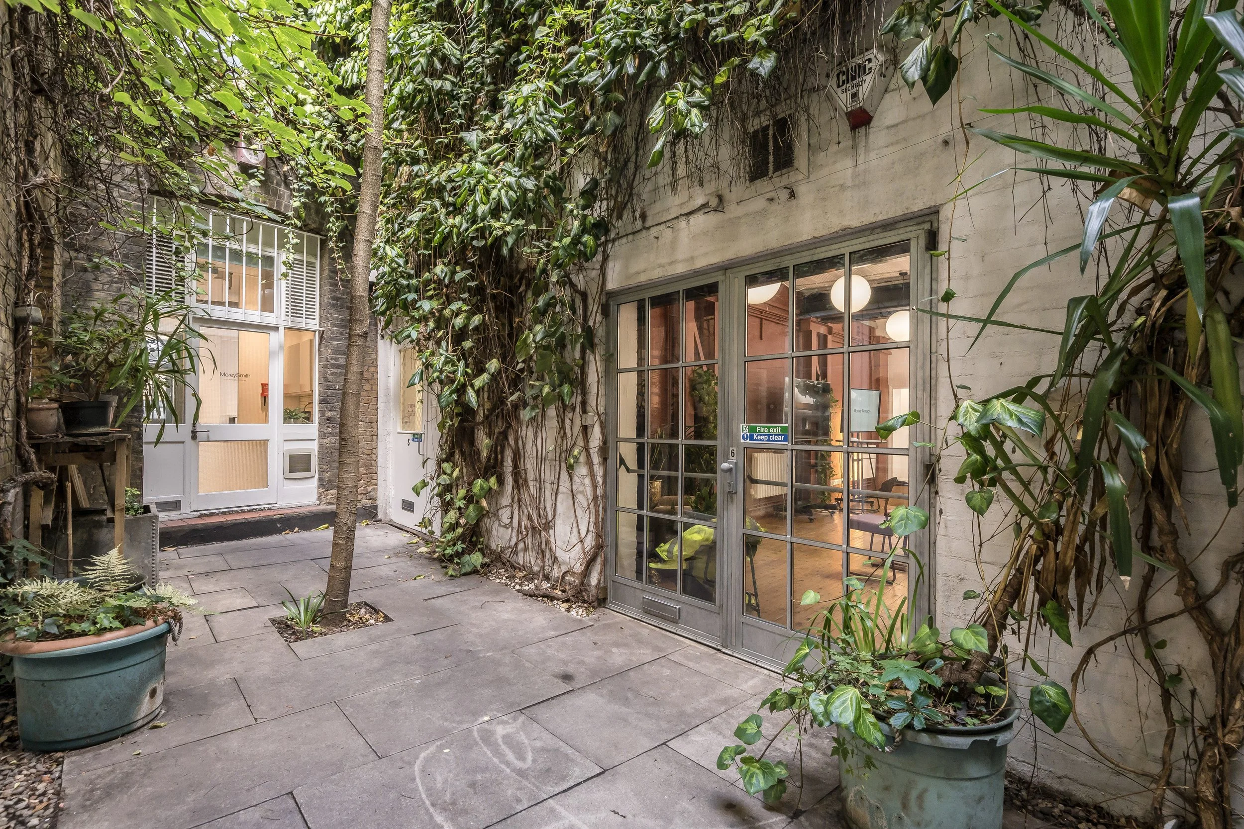 Outdoor courtyard with potted plants and trees, feature window and door leading inside a building.