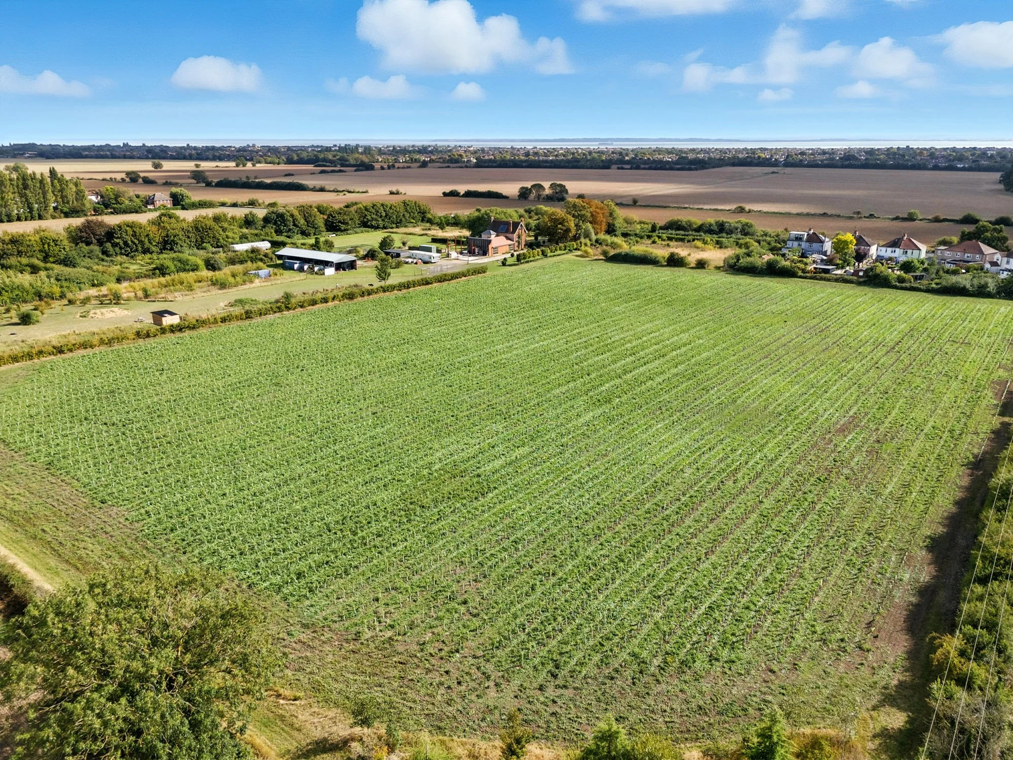 Aerial view of farmland with cultivated fields, trees, and houses under a blue sky with clouds.