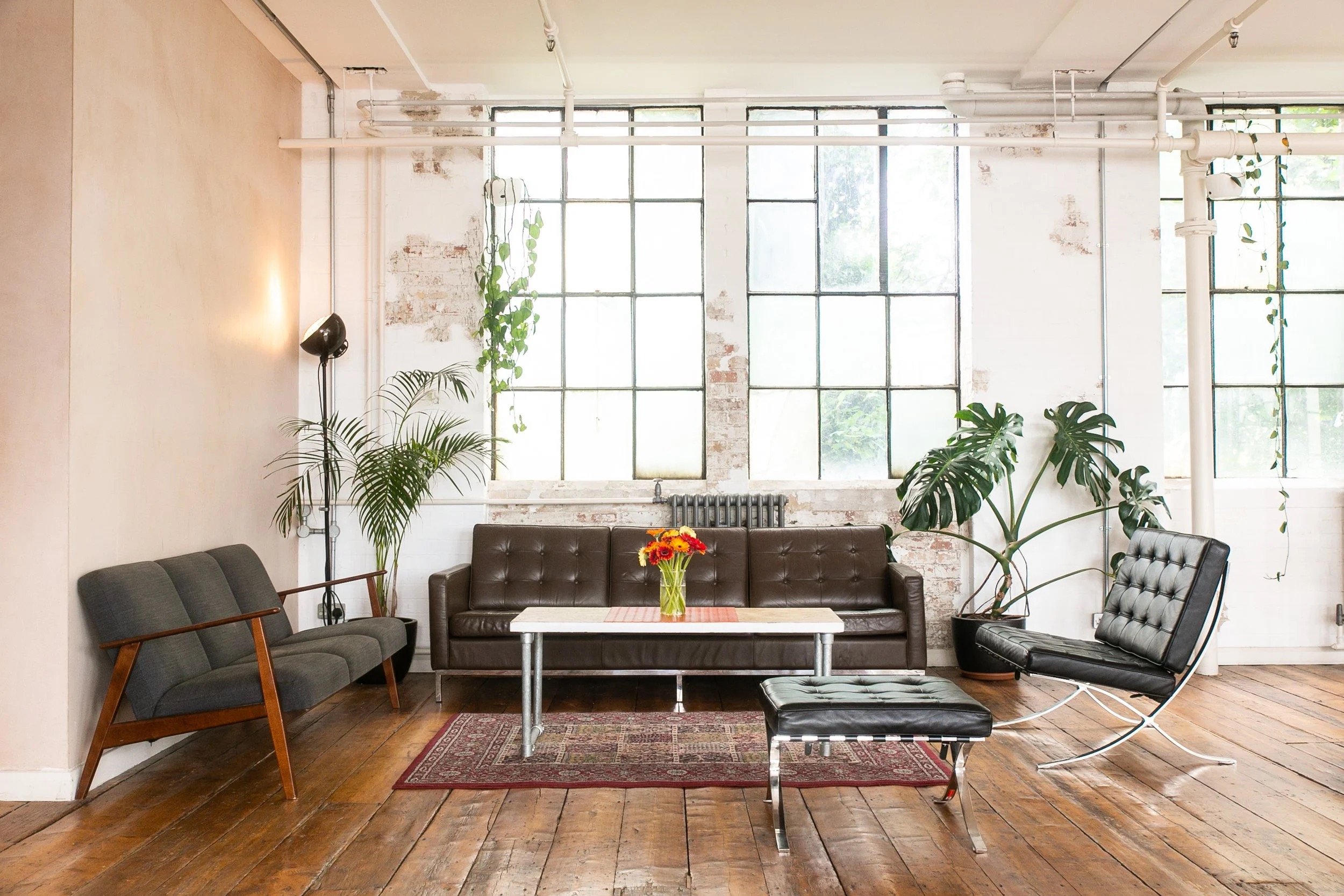 Living room with large industrial-style windows, a brown leather sofa, a black lounge chair and ottoman, a gray fabric sofa, potted plants, a hanging plant, a floor lamp, a vase of flowers on a white coffee table, and hardwood floors.