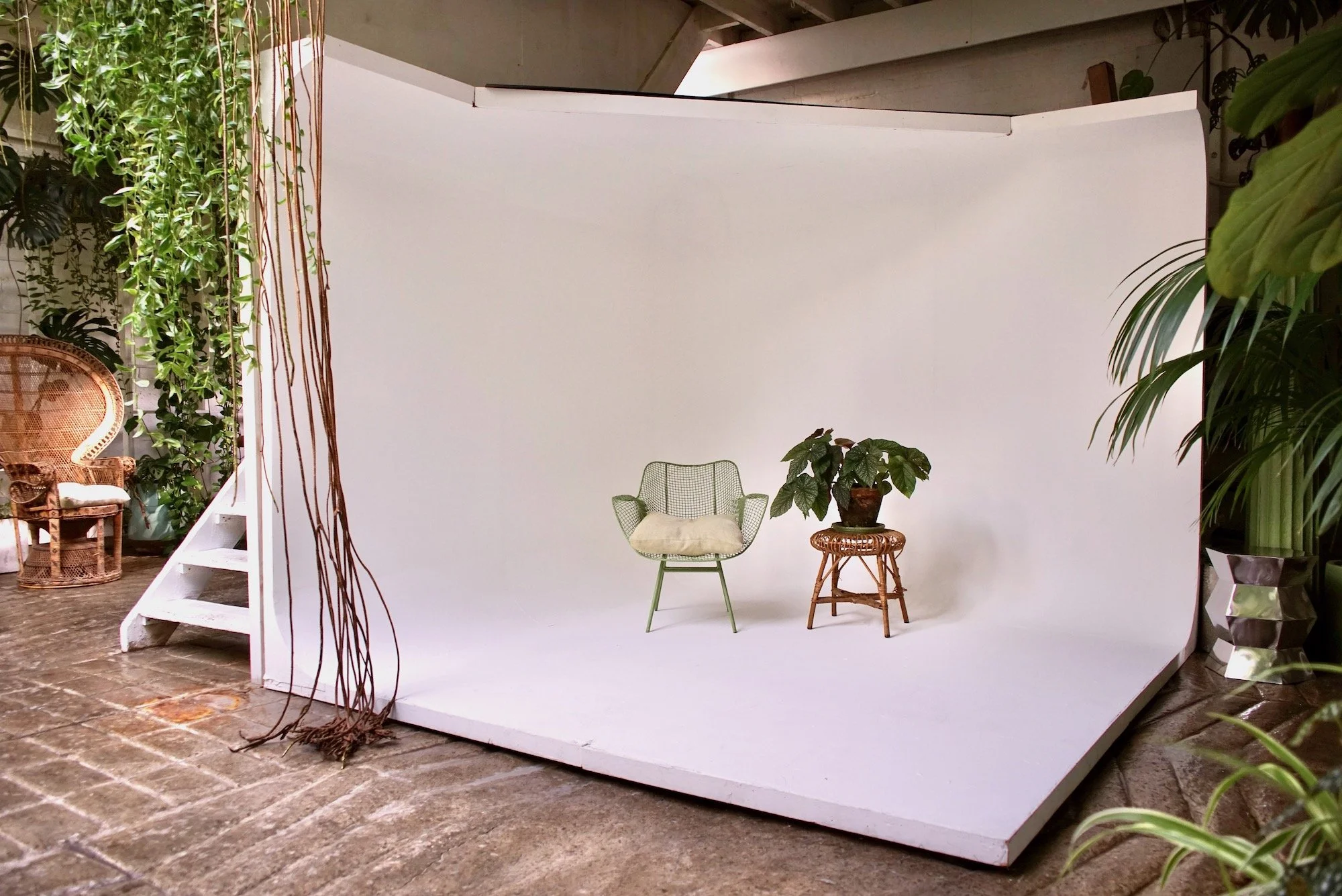 Indoor photo of a white photography studio backdrop with a green plant on a small table and a wicker chair on the left, surrounded by various green plants.