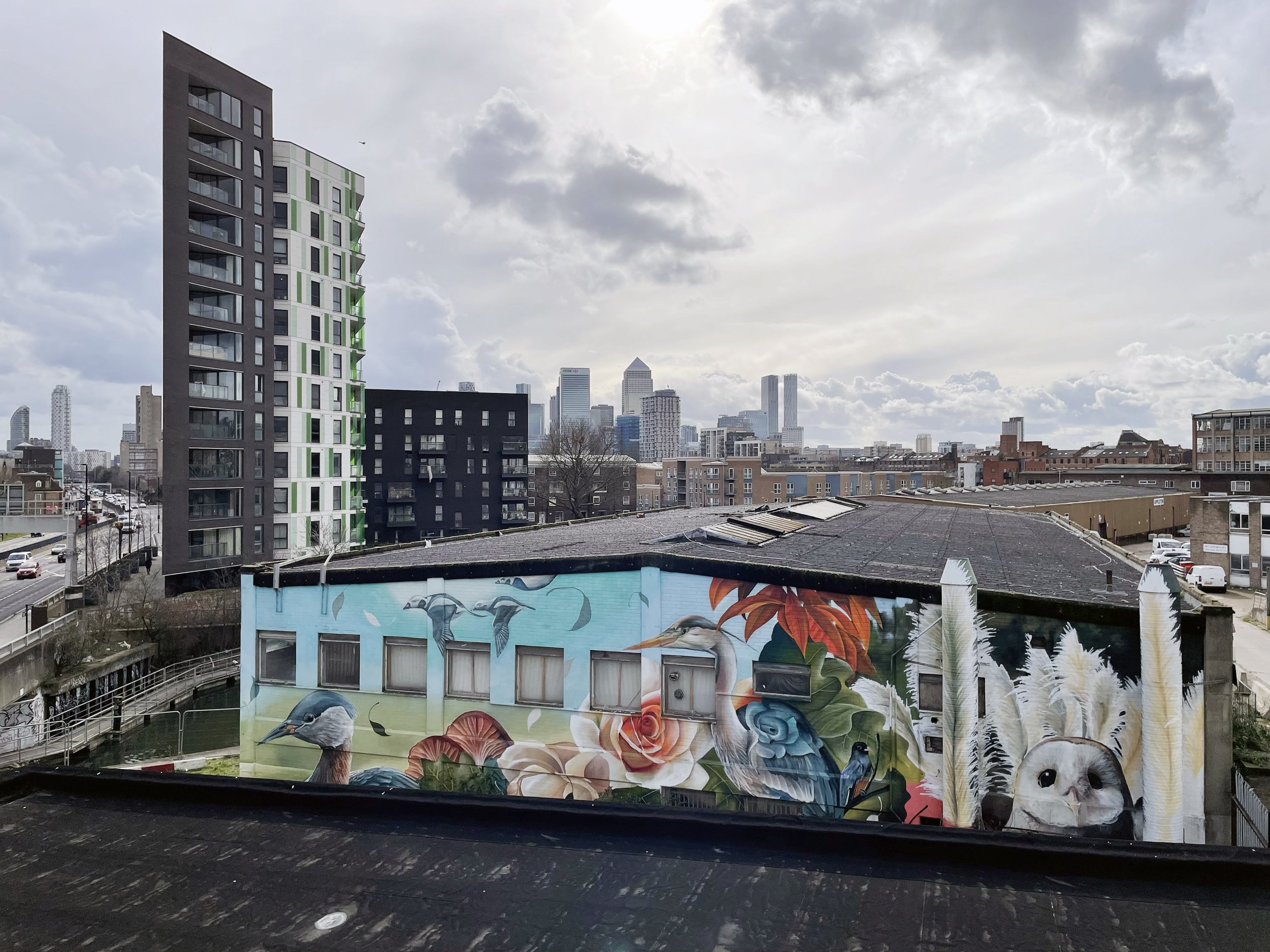 Cityscape with high-rise buildings in the background, a large mural with birds and floral designs on a building in the foreground, and various other buildings and streets visible under a cloudy sky.