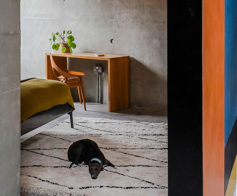 A black dog lying on a patterned rug in a modern bedroom with a bed, wooden desk, a chair, and a plant on the desk, with a concrete wall in the background.