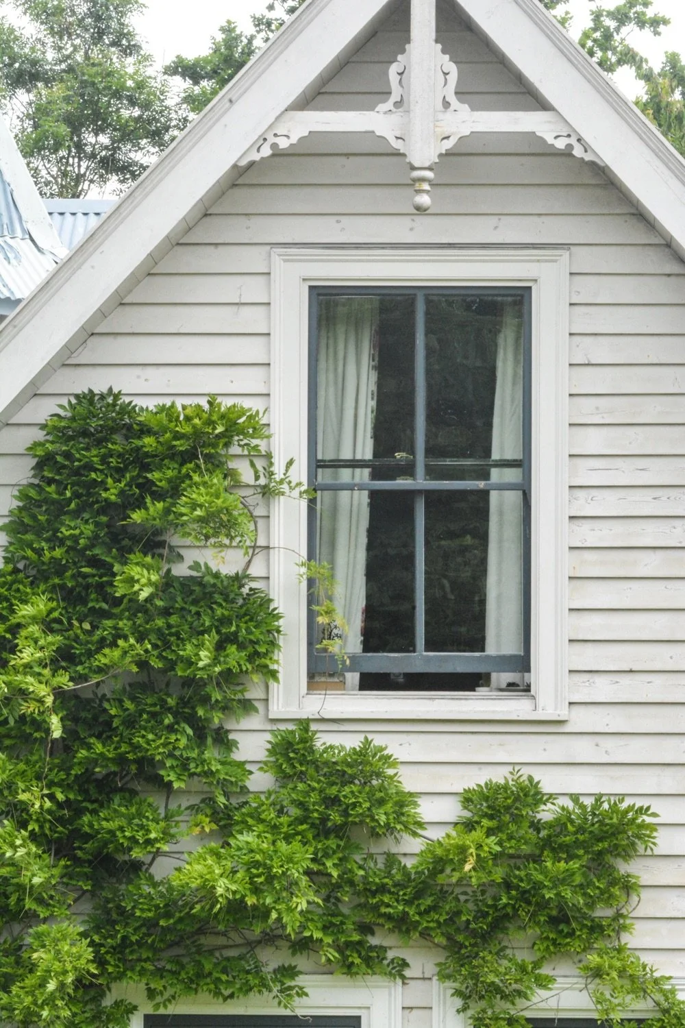 A white house exterior with a window and decorative trim at the gable end, surrounded by green bushy plants.