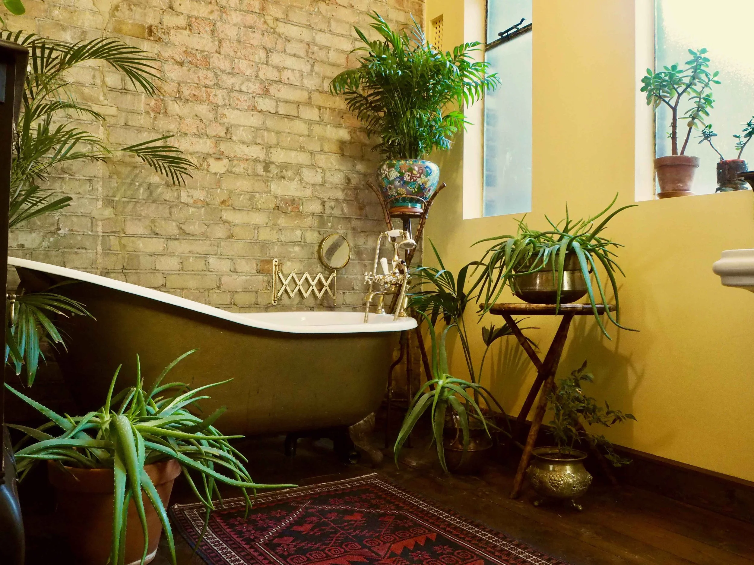 A vintage bathtub in a cozy, plant-filled bathroom with a brick wall, yellow walls, and several large potted plants, including aloe vera and succulents, along with a patterned rug on a wooden floor.