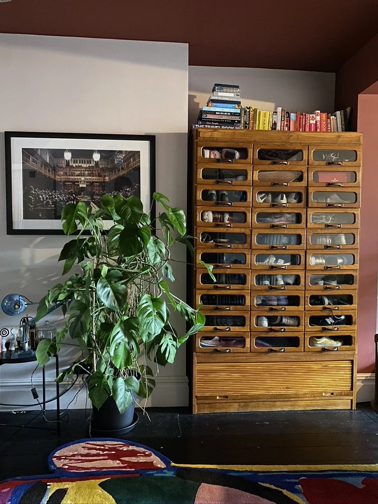Interior room with a large leafy green plant in a black pot, a wooden cabinet with glass-front drawers filled with cables and electronics, a stack of books on top of the cabinet, and a framed black-and-white picture on the wall.
