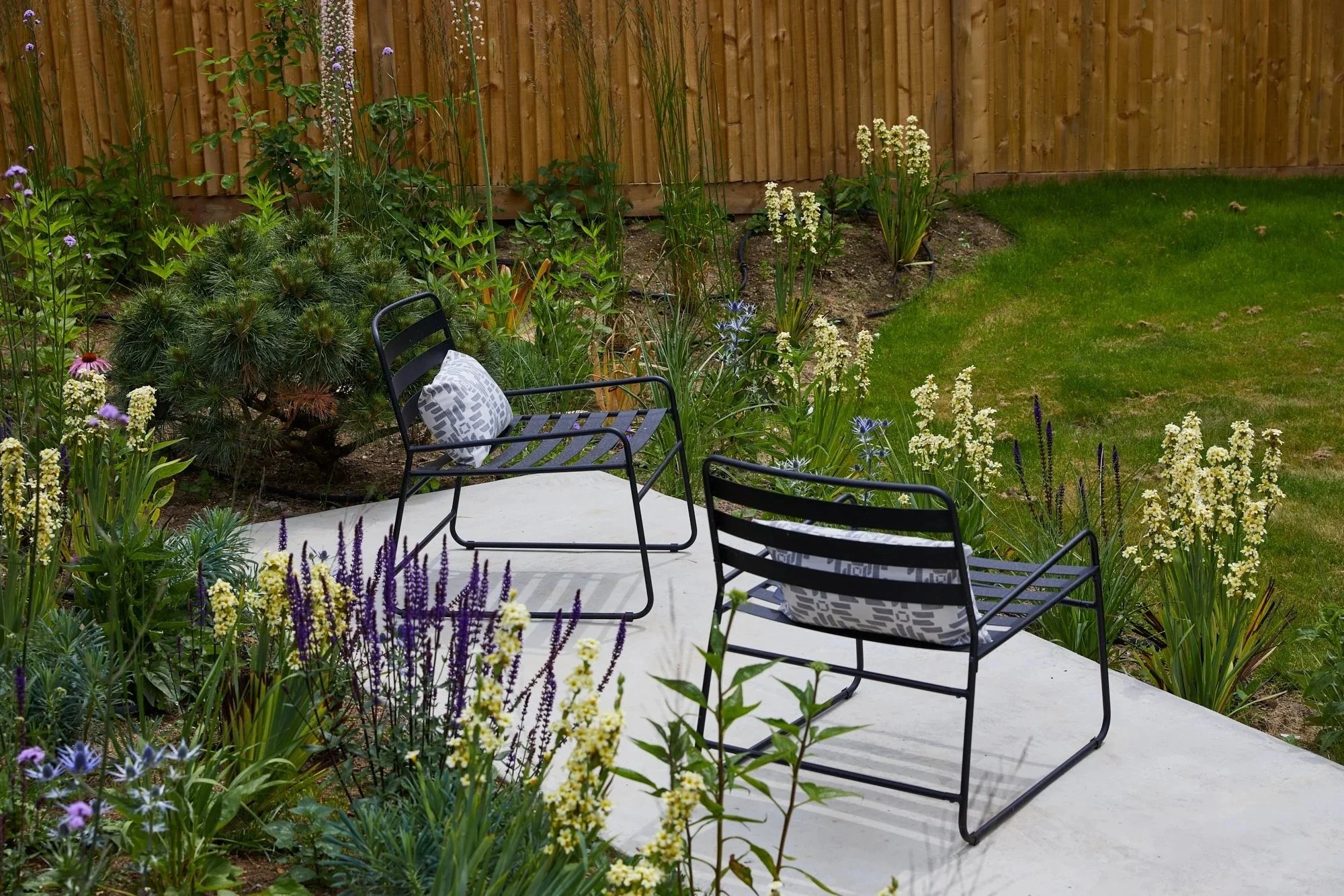 A backyard garden with a concrete patio, two black metal chairs with patterned cushions, surrounded by yellow, purple, and white flowers, and a wooden fence in the background.