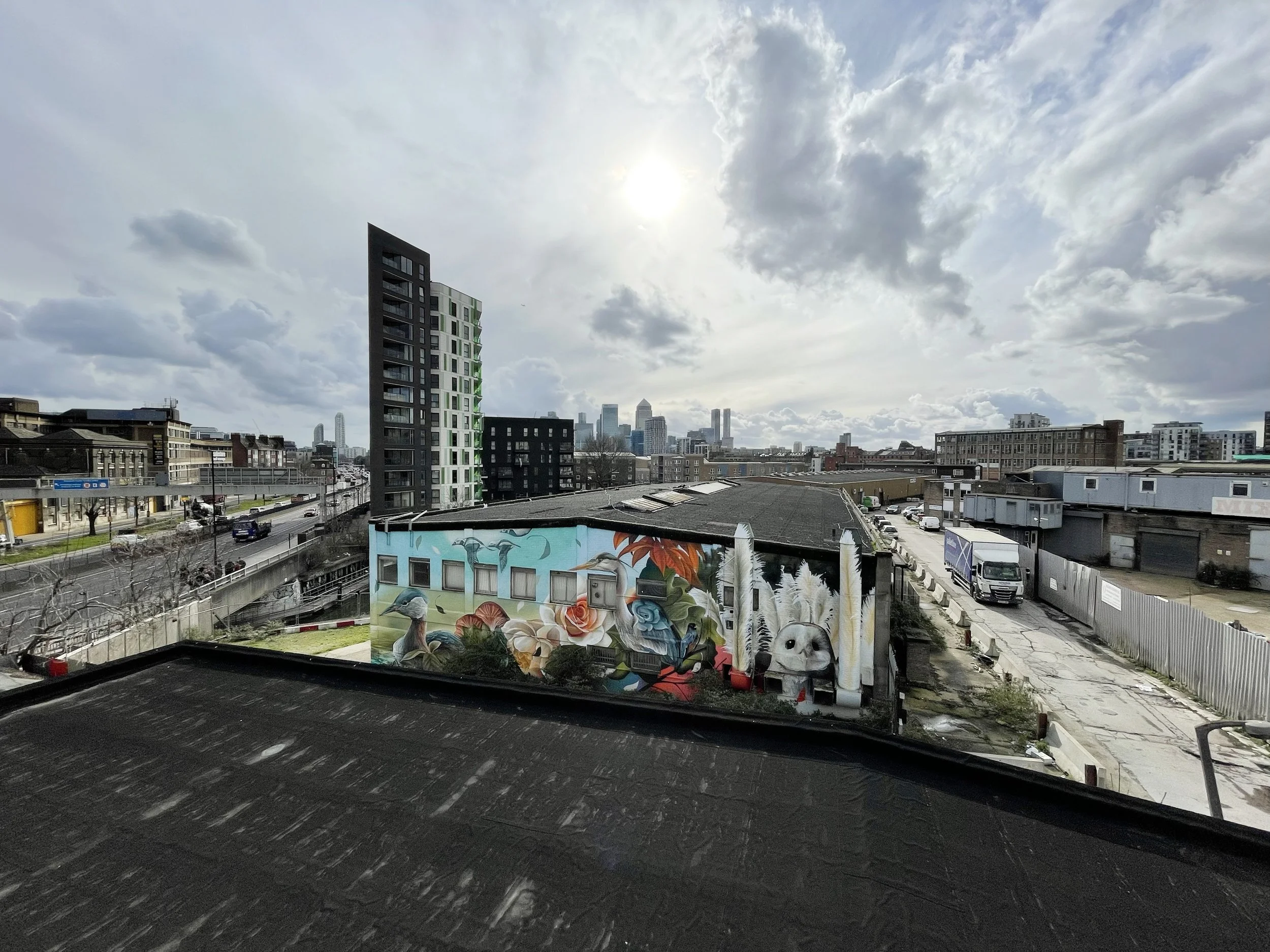 City skyline with high-rise buildings, a mural with animals and flowers on a building, and a gray sky with clouds.