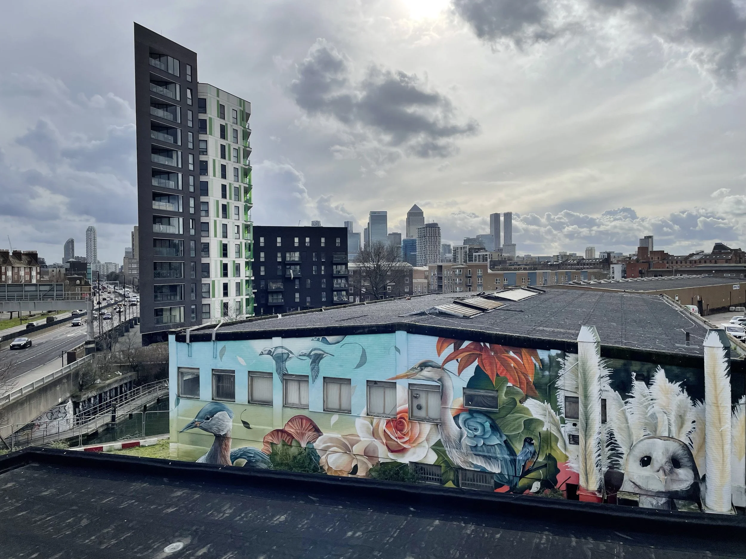 Cityscape with modern buildings, including a high-rise with a zigzag design, and a mural on a smaller building featuring a heron, owl, flowers, and leaves against an overcast sky.