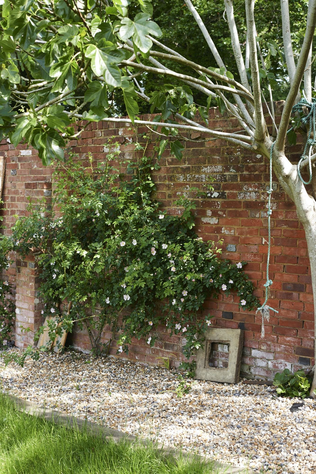 A brick wall with a flowering shrub and a small tree, with a rubber tire swing hanging from the tree.