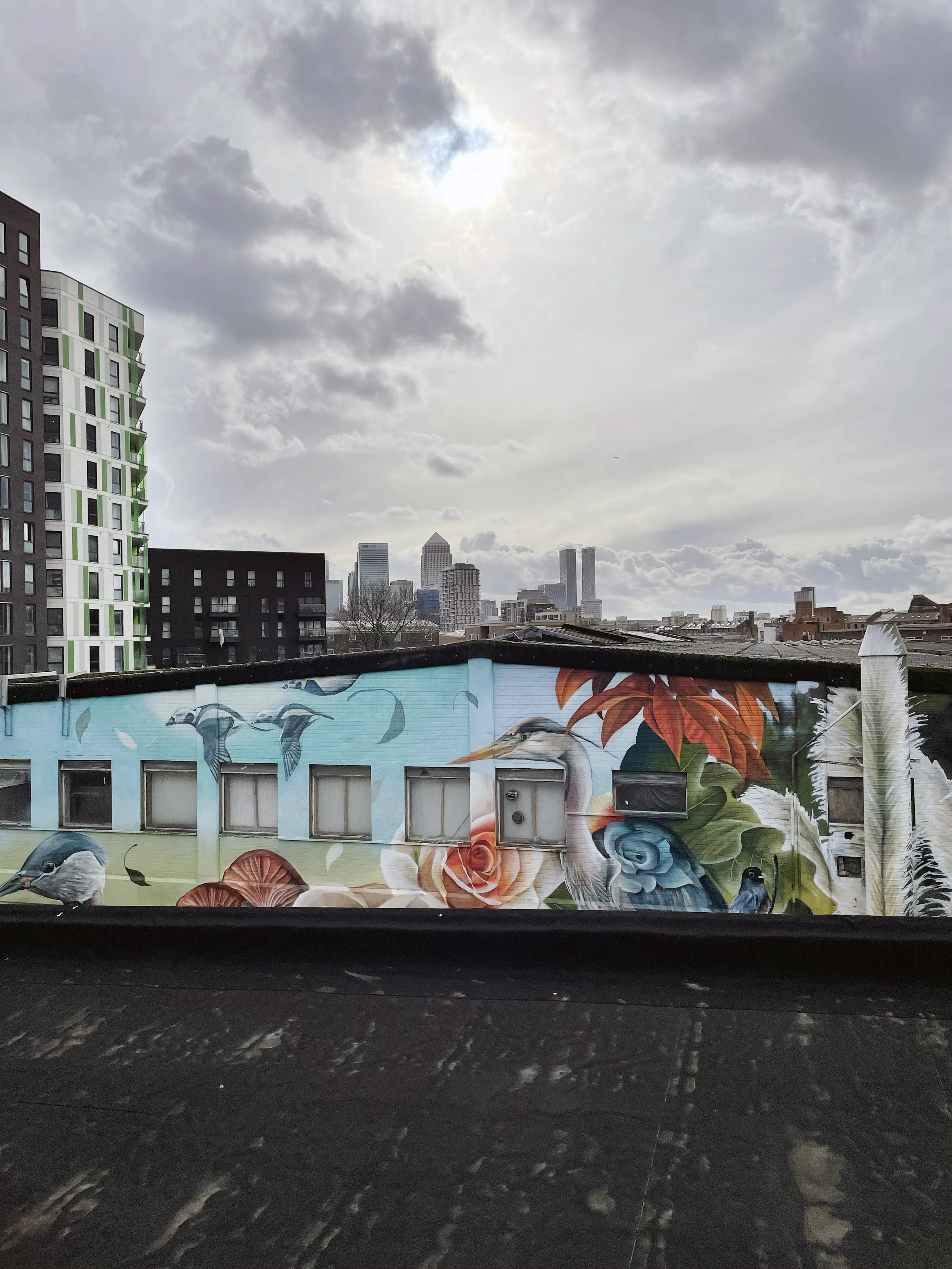 Cityscape with mural of various birds, including cranes, and colorful flowers, under a cloudy sky with the sun peeking through.