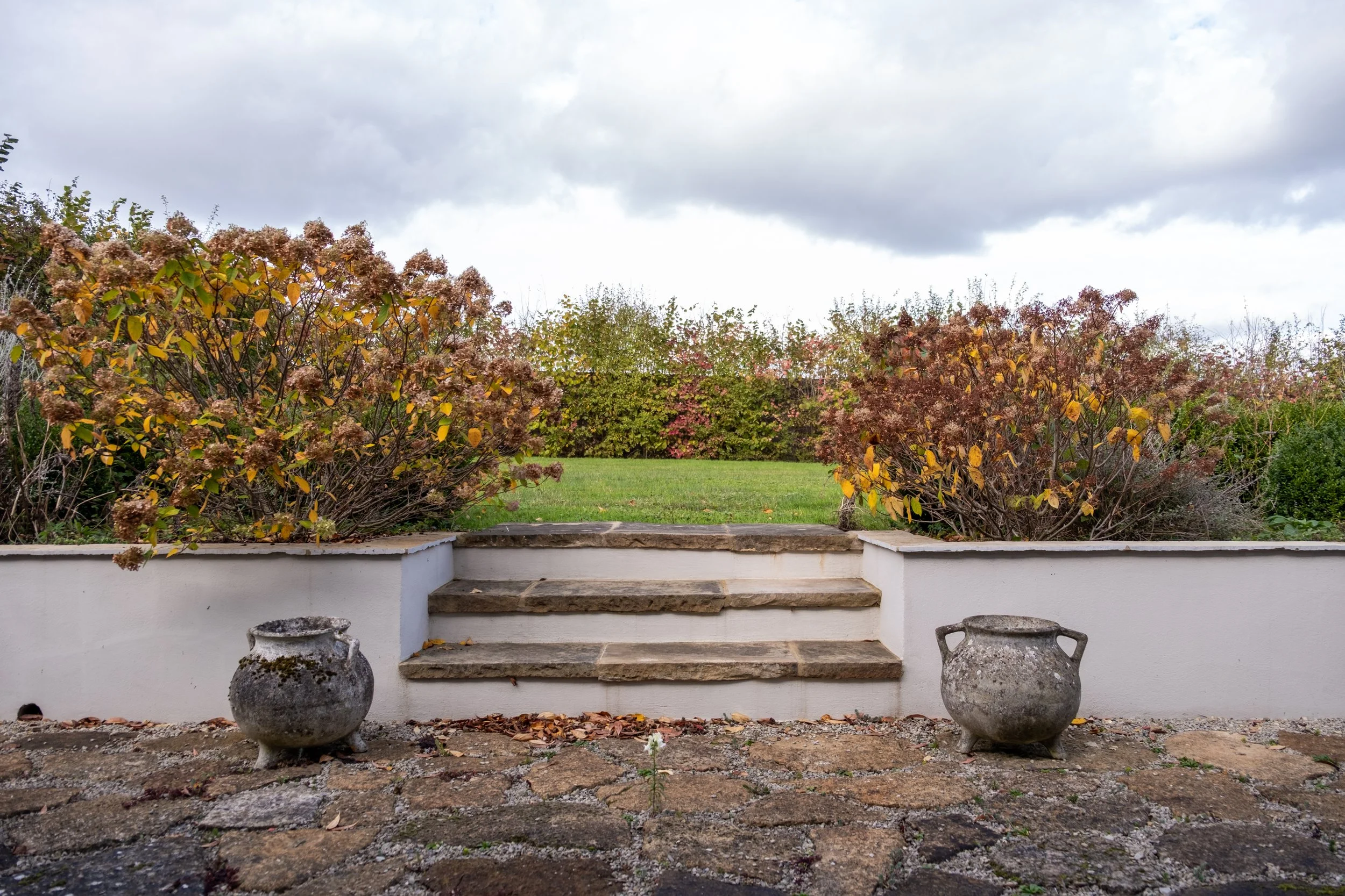 A garden view from steps leading up to a grassy area with bushy plants on either side, upcoming cloudy sky.