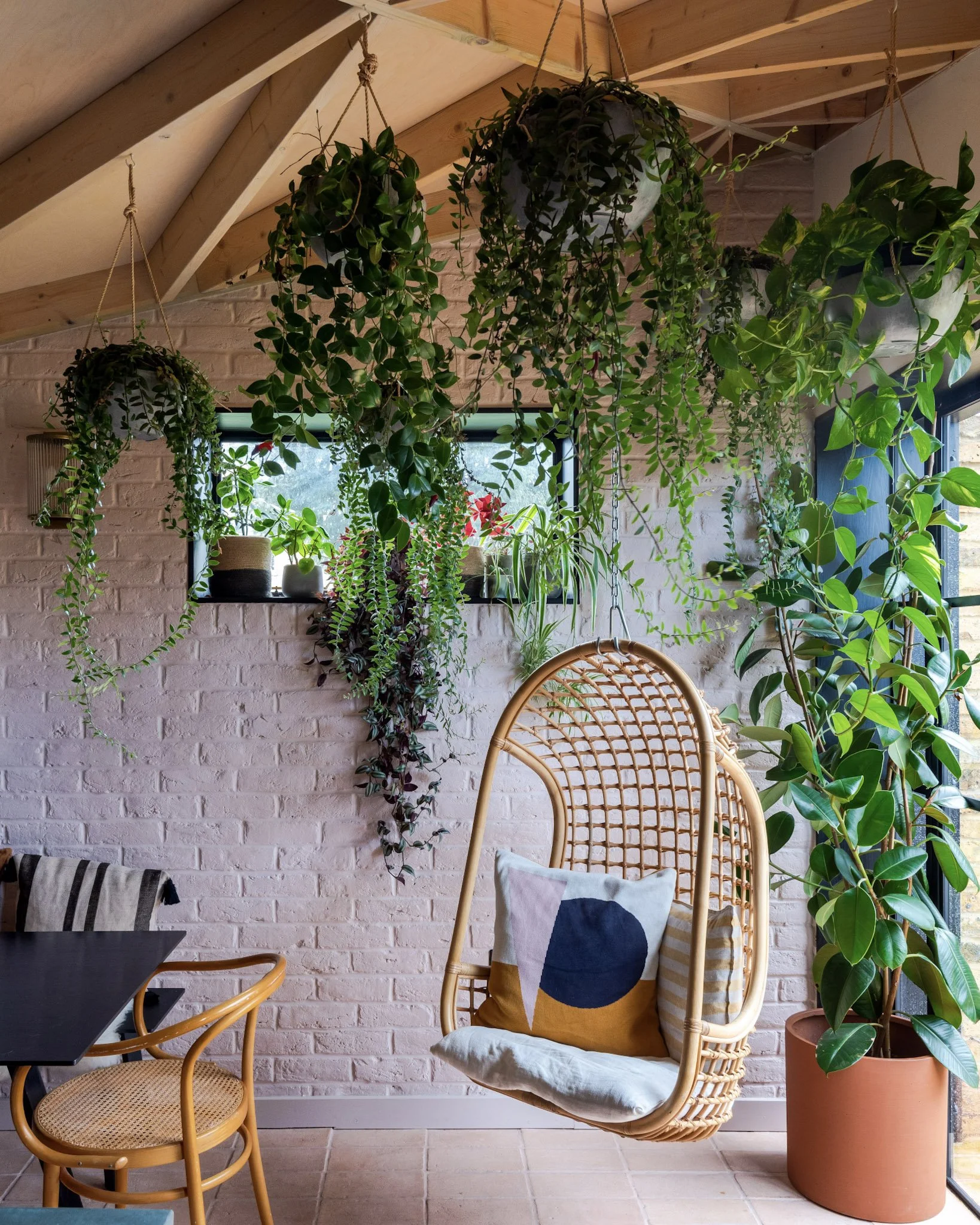 Indoor space with hanging potted plants, a rattan hanging chair with a cushion, a large potted plant, a window, and a brick wall painted white.