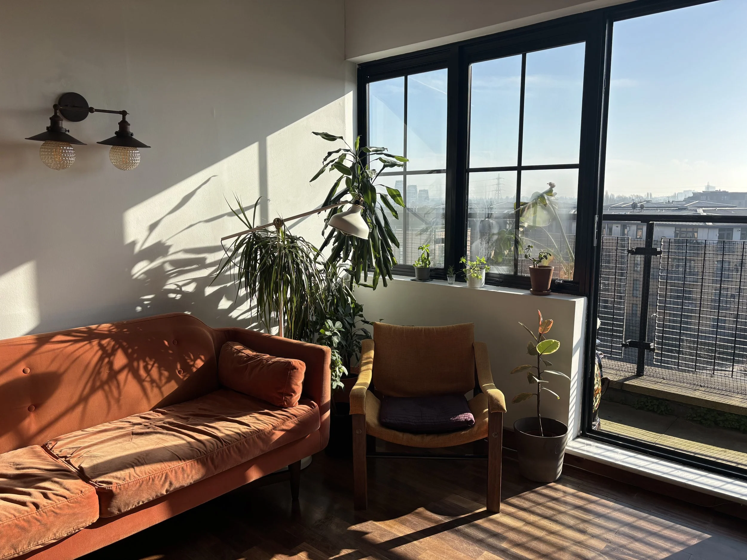 Living room with sunlight streaming through large windows, orange sofa, yellow armchair, and potted plants near the window.