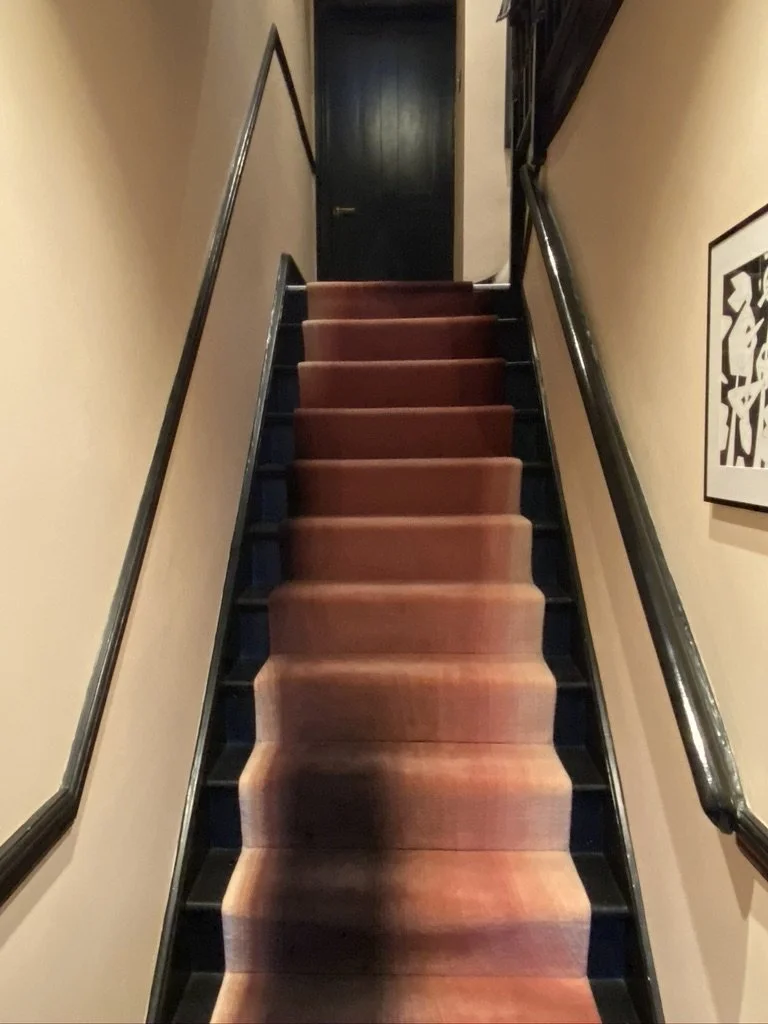 Steep carpeted staircase with dark handrails leading up to a closed dark door in a narrow corridor.