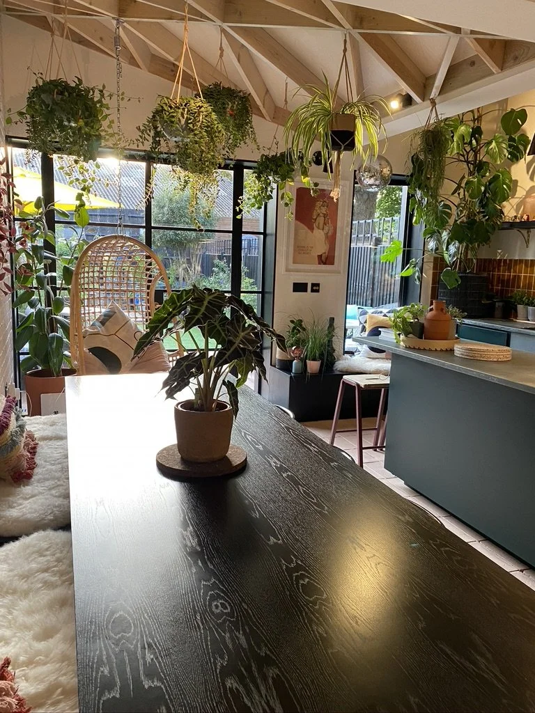 A cozy indoor space with hanging plants, large windows, and a dark wooden table with potted plants. There is a woven chair with cushions, a blue kitchen counter, and various greenery in pots, creating a lush, inviting atmosphere.